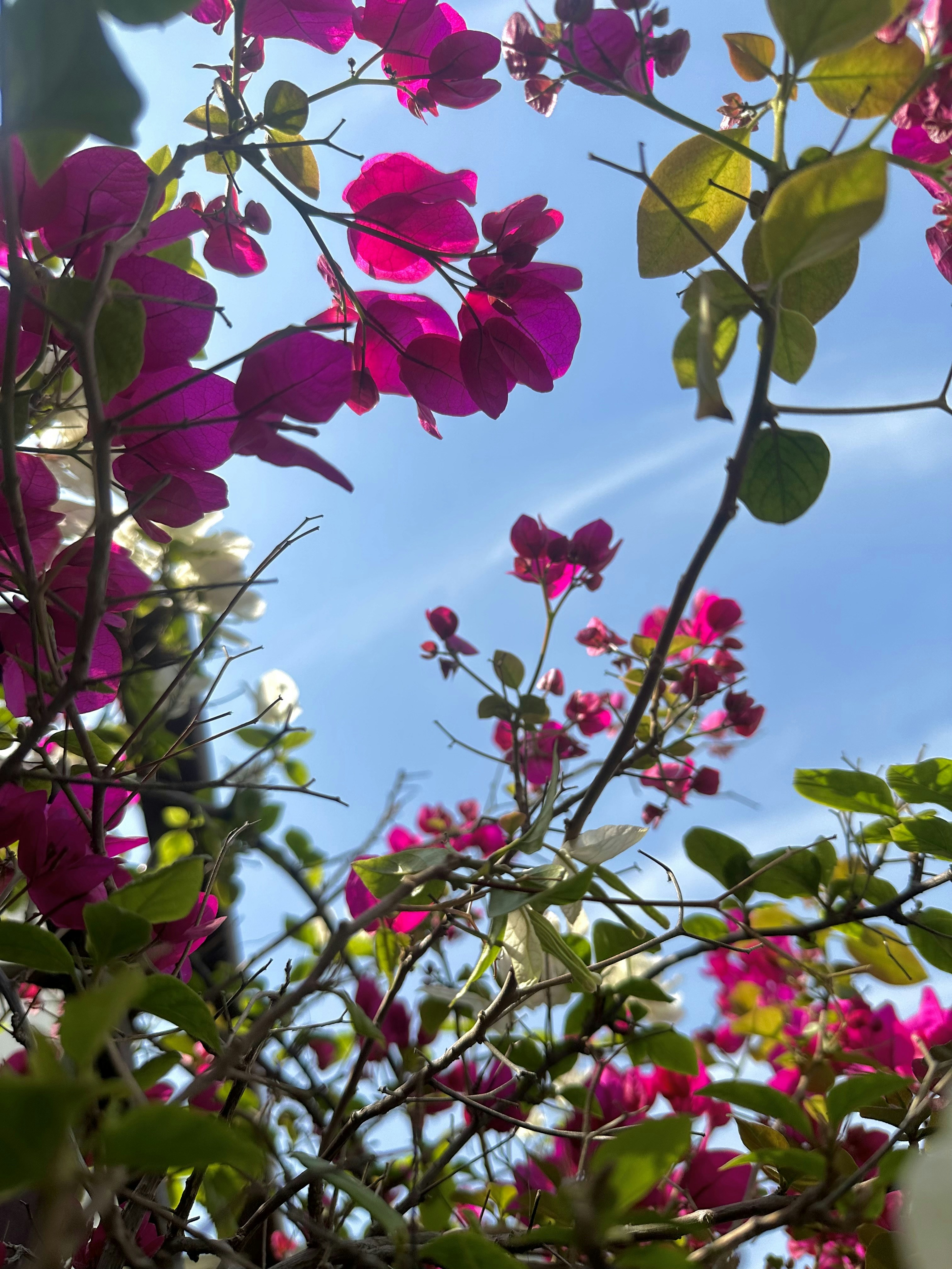 Photo by neelakshi_singh_