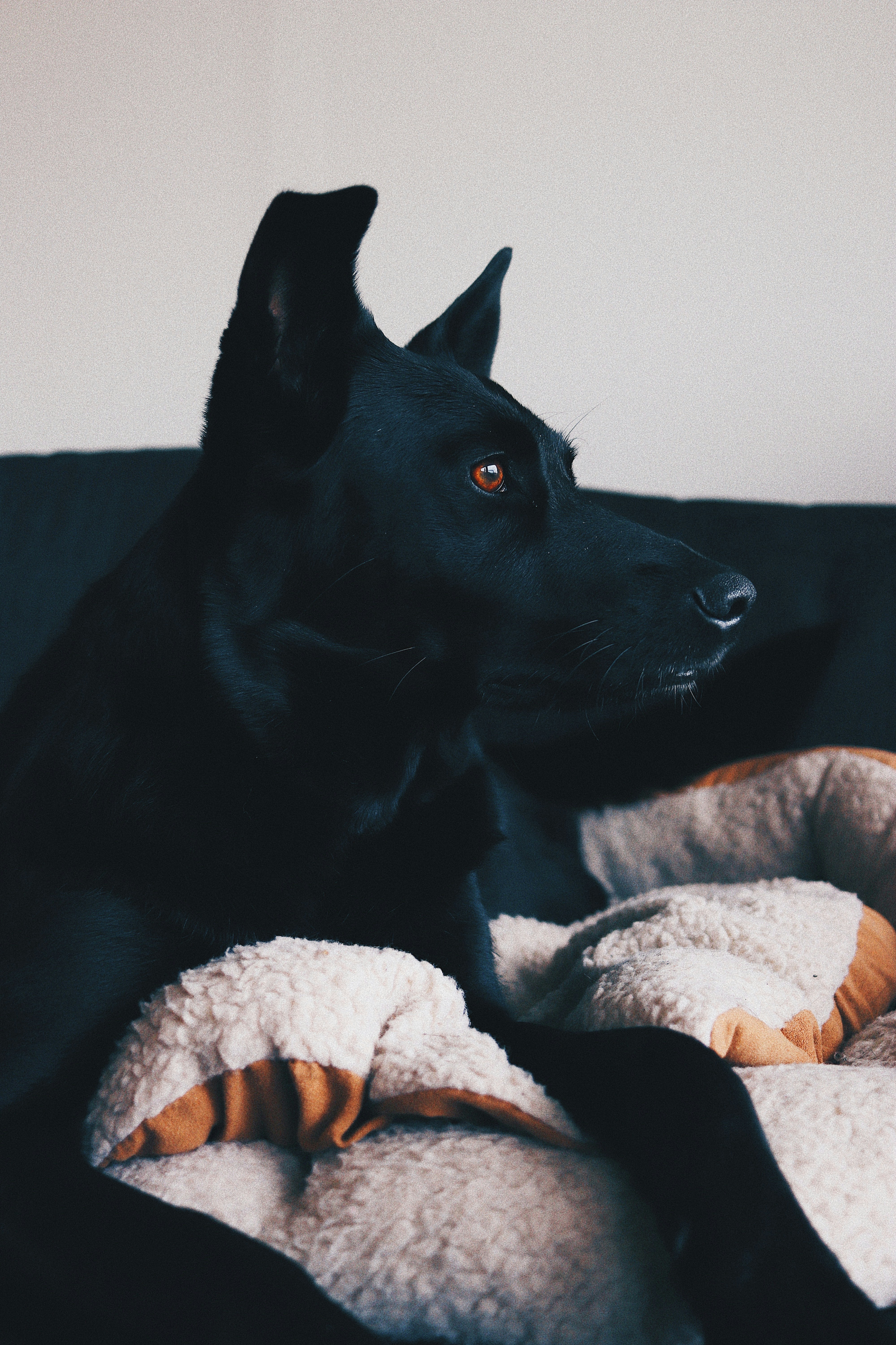 Photo by agnesjostelius