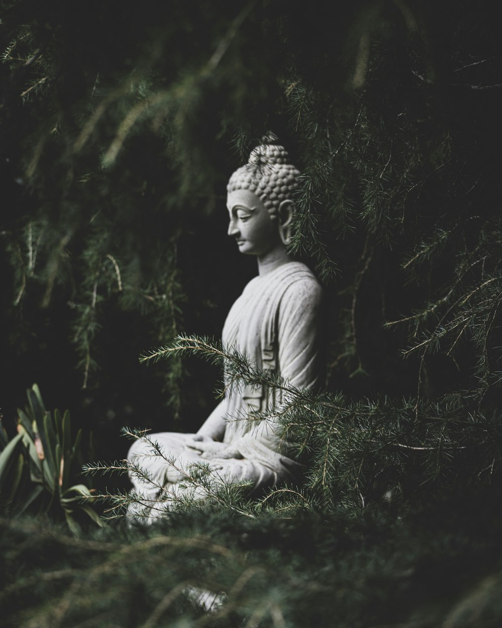 a buddha statue sitting in the middle of a forest