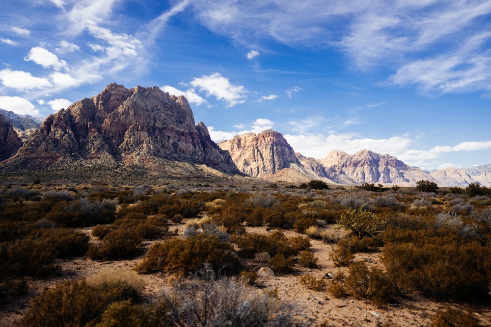 a mountain range with bushes and bushes in the foreground