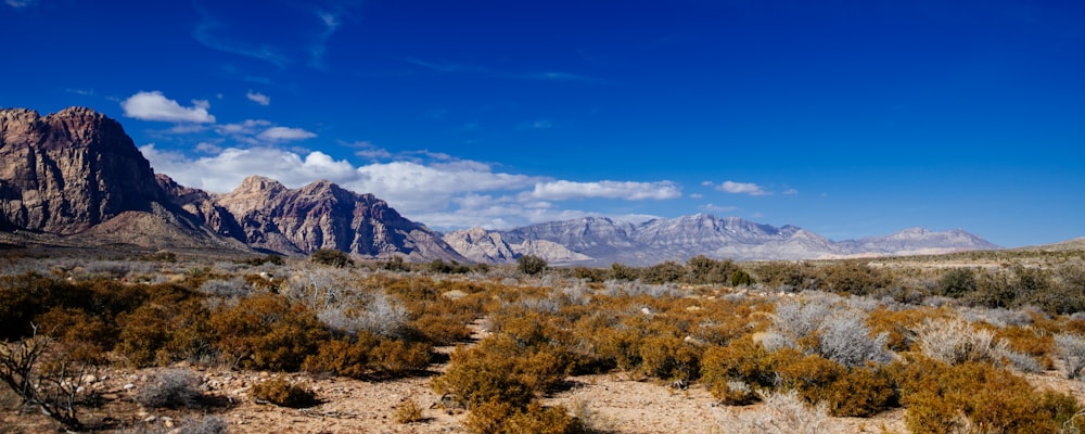 a scenic view of a mountain range in the desert