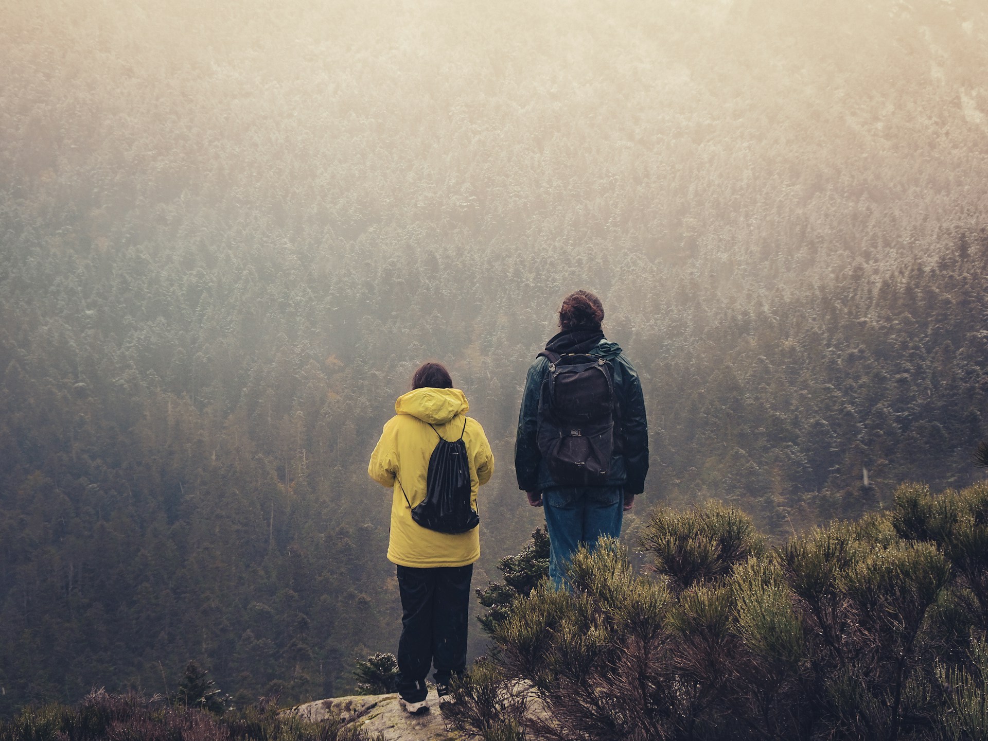 a couple of people standing on top of a mountain