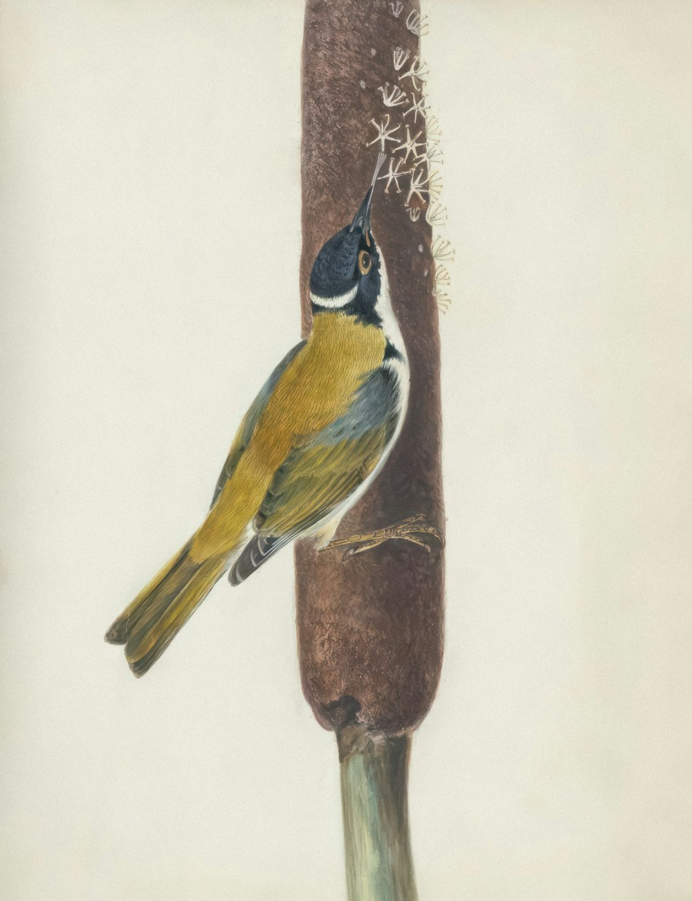 a drawing of a bird perched on a pole