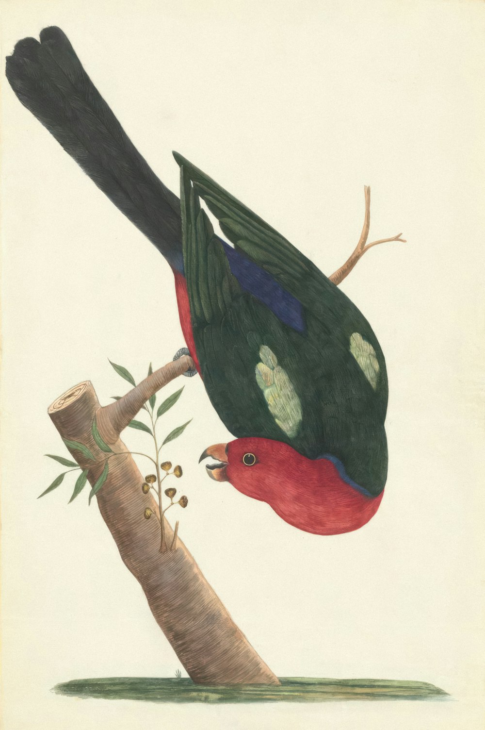 a painting of a bird on a tree branch