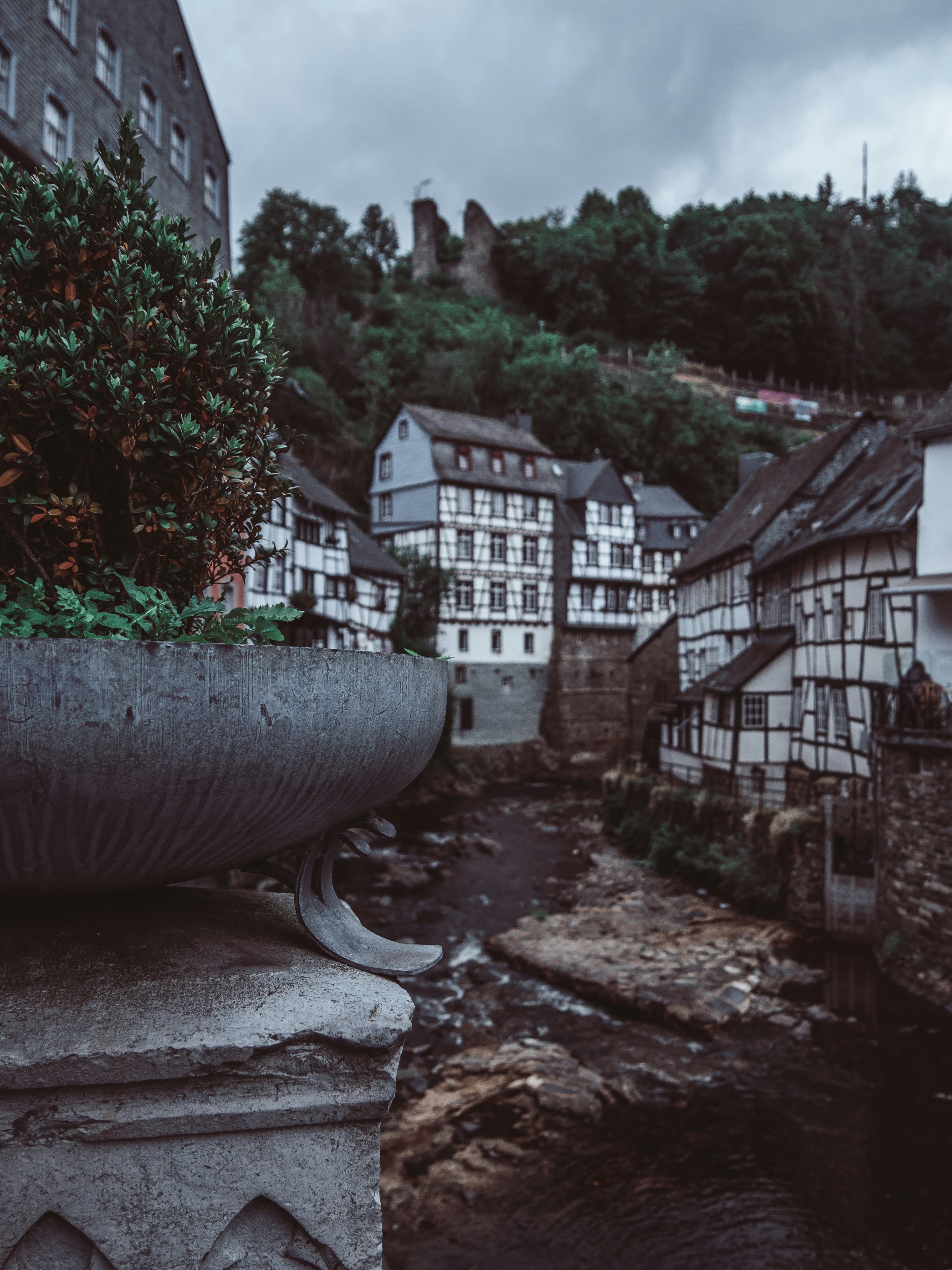 Photo by jovita_braun