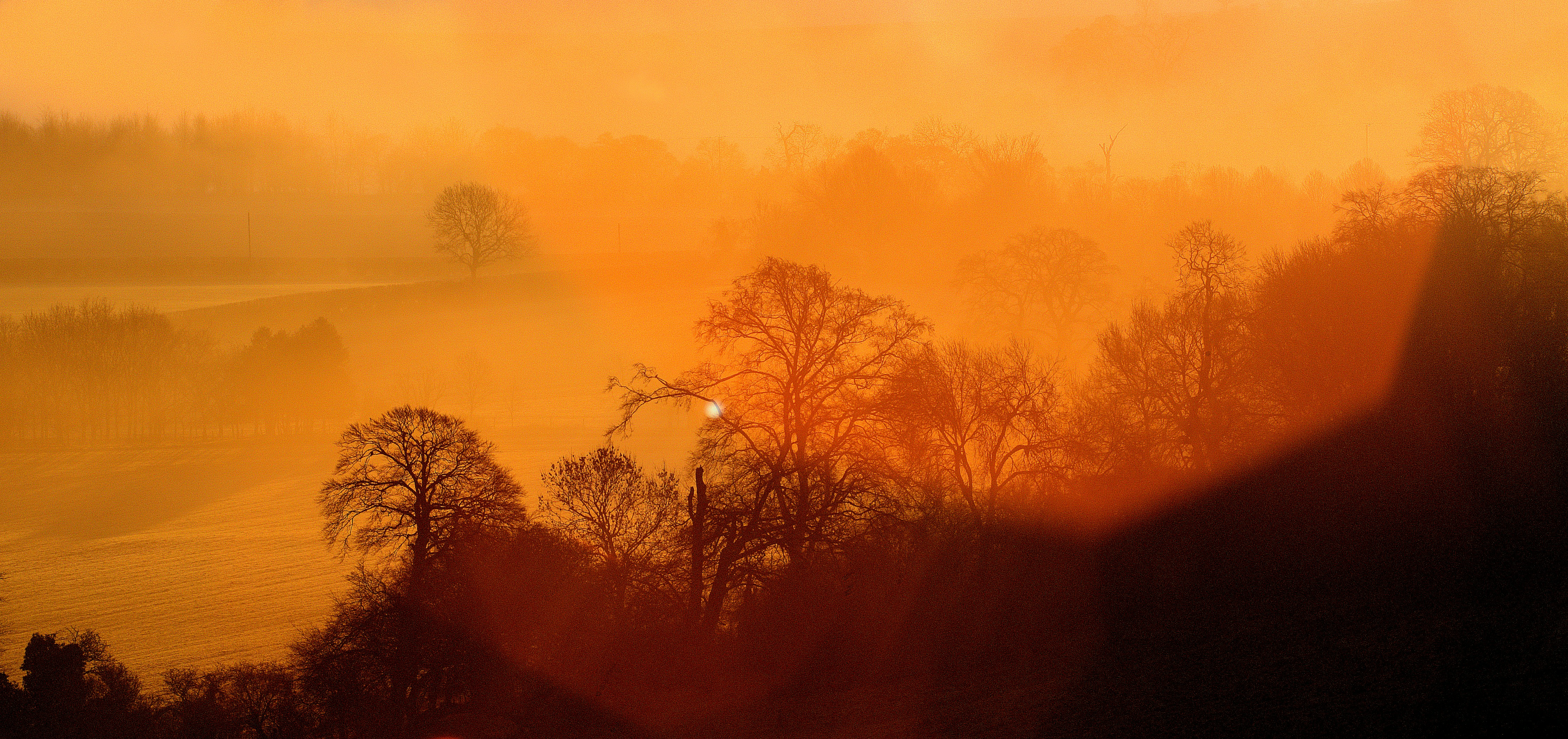 Photo by paul_longhurst