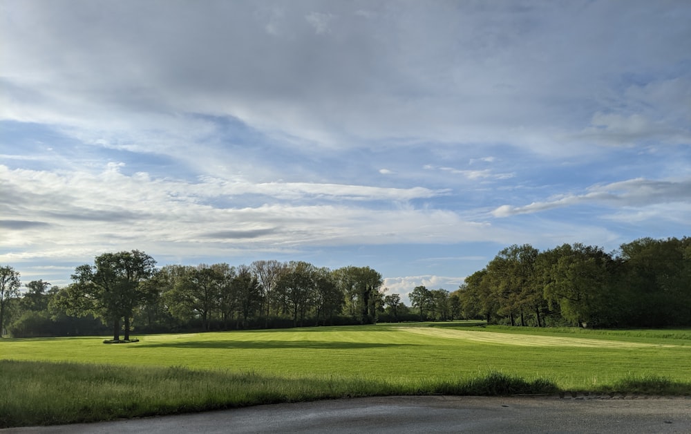 a green golf course with trees in the background