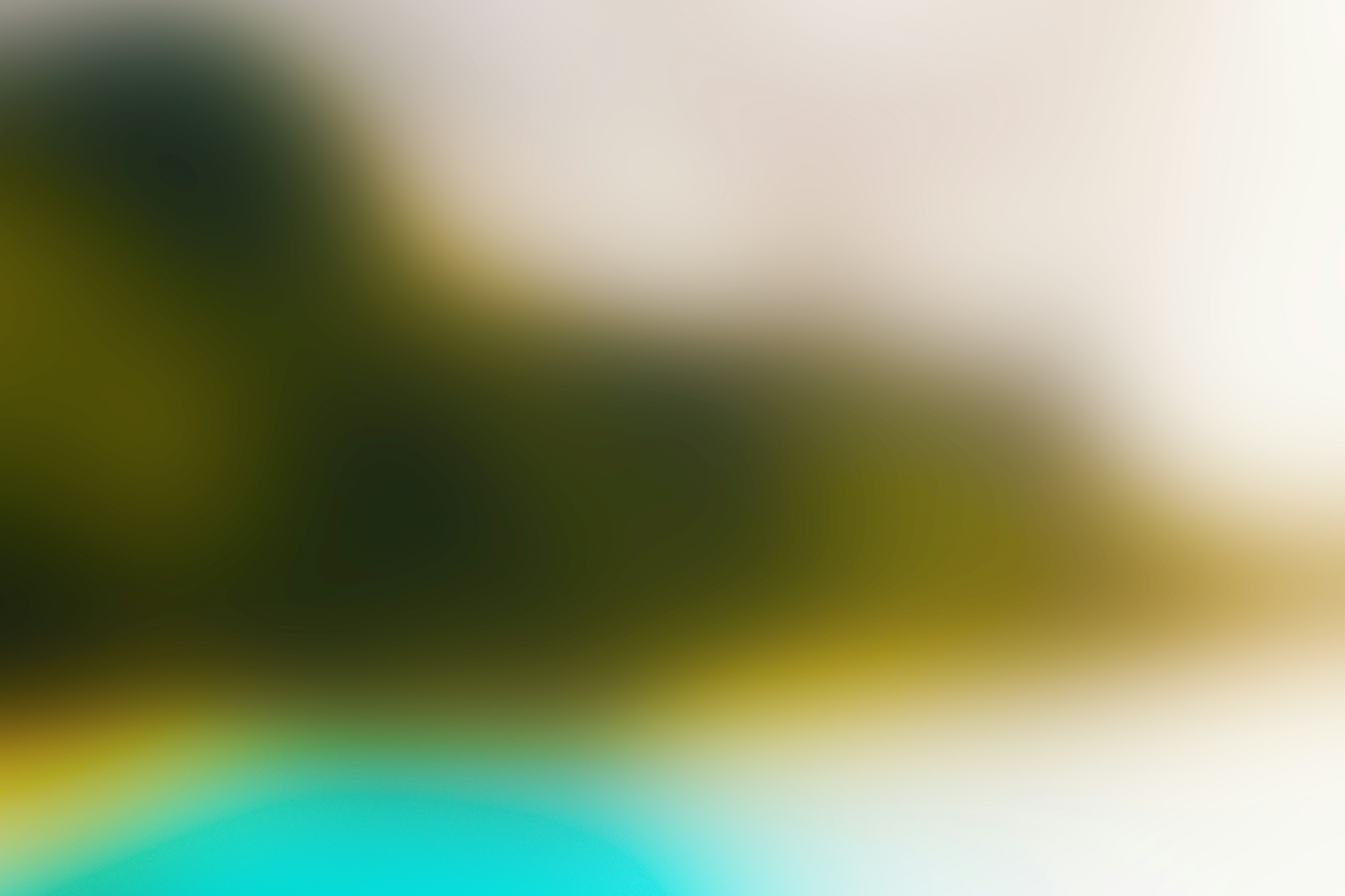 Photo by iklas_rahman