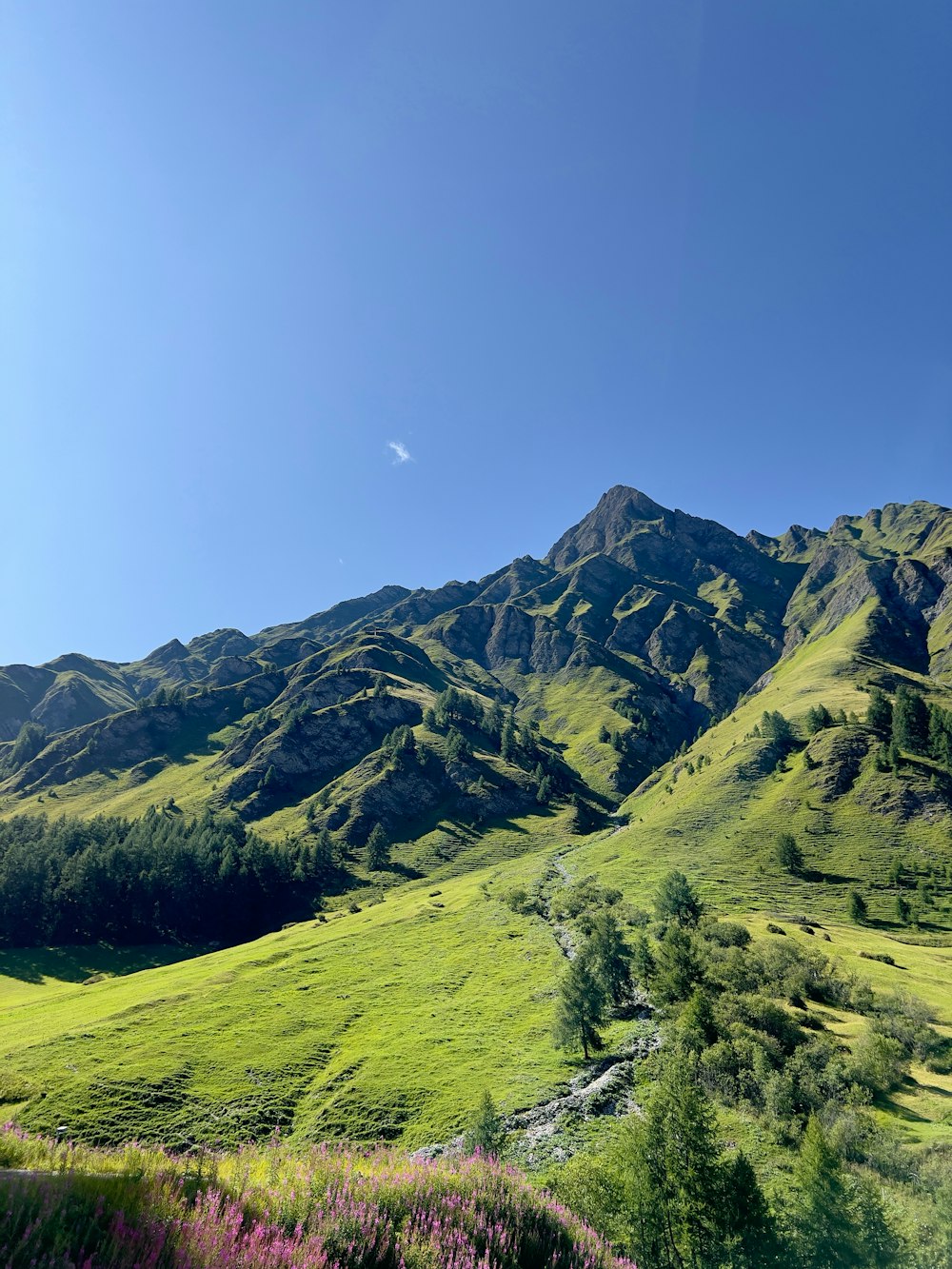 a green mountain range with a blue sky in the background