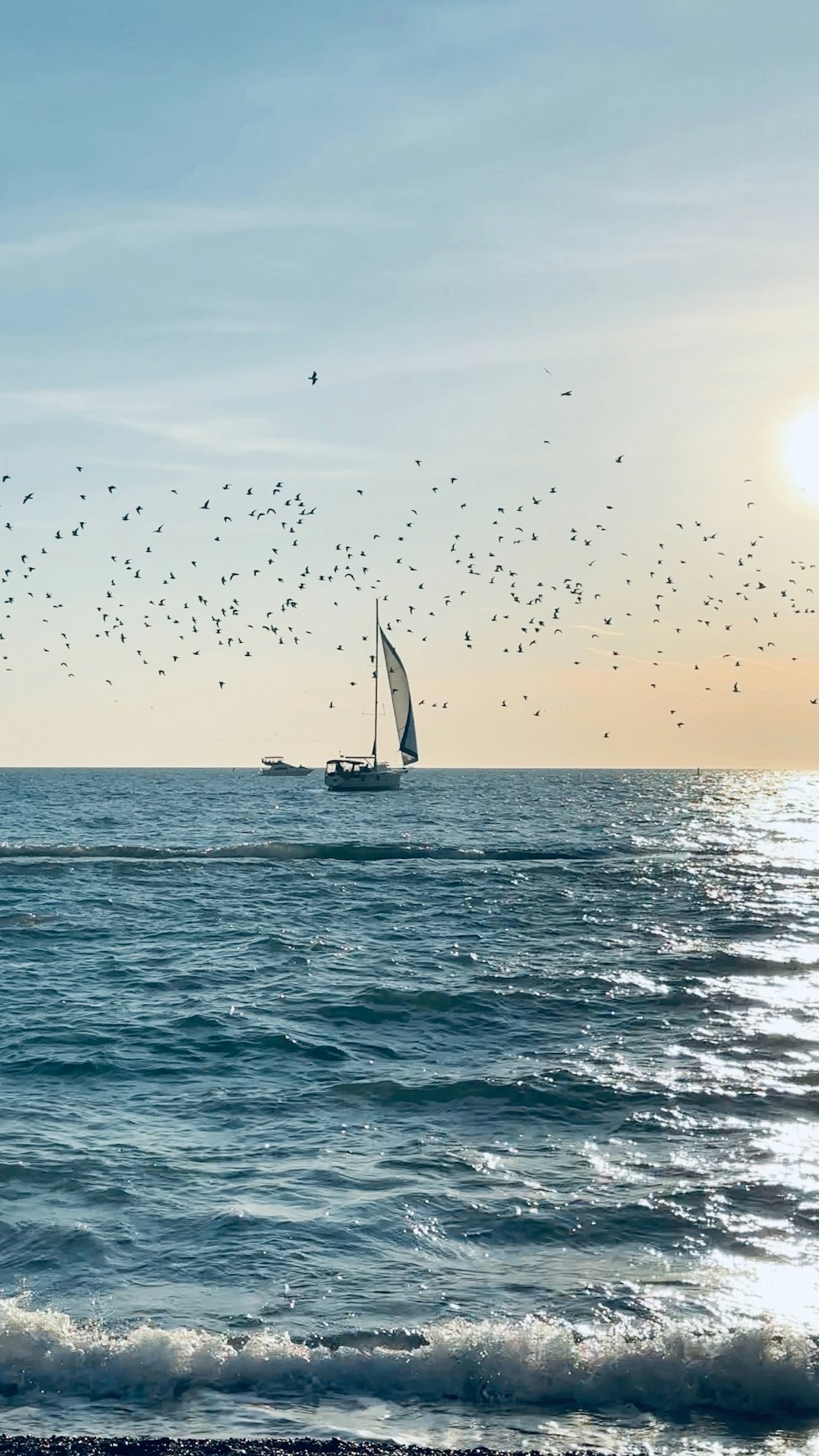 a sailboat in the ocean with a flock of birds in the sky