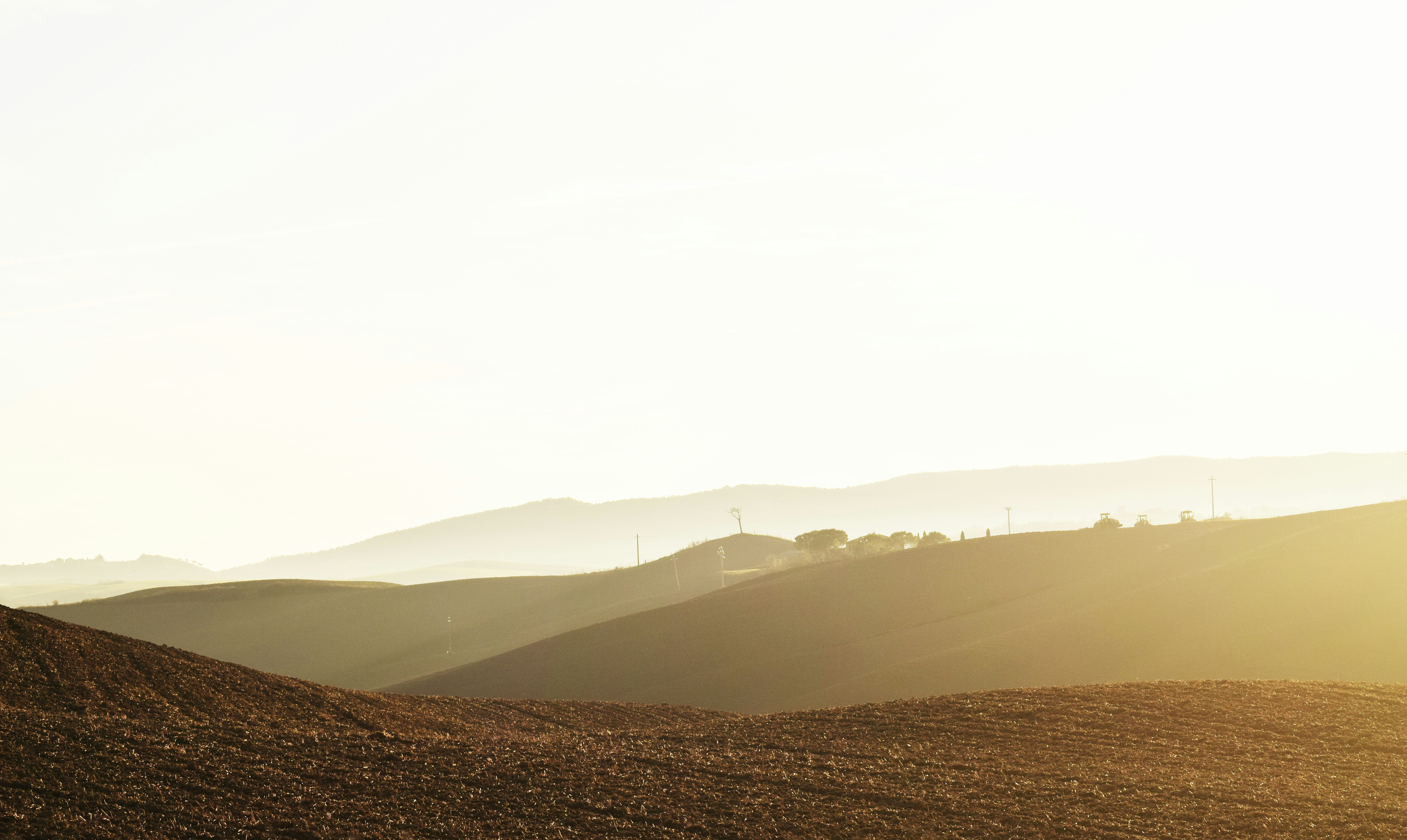 a lone cow standing in a field with mountains in the background