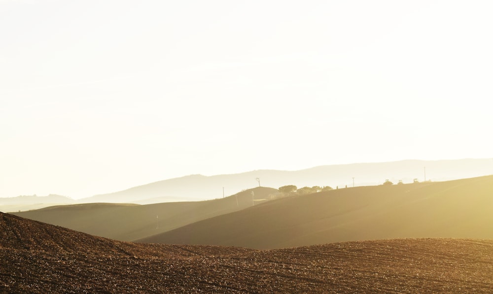 a lone cow standing in a field with mountains in the background