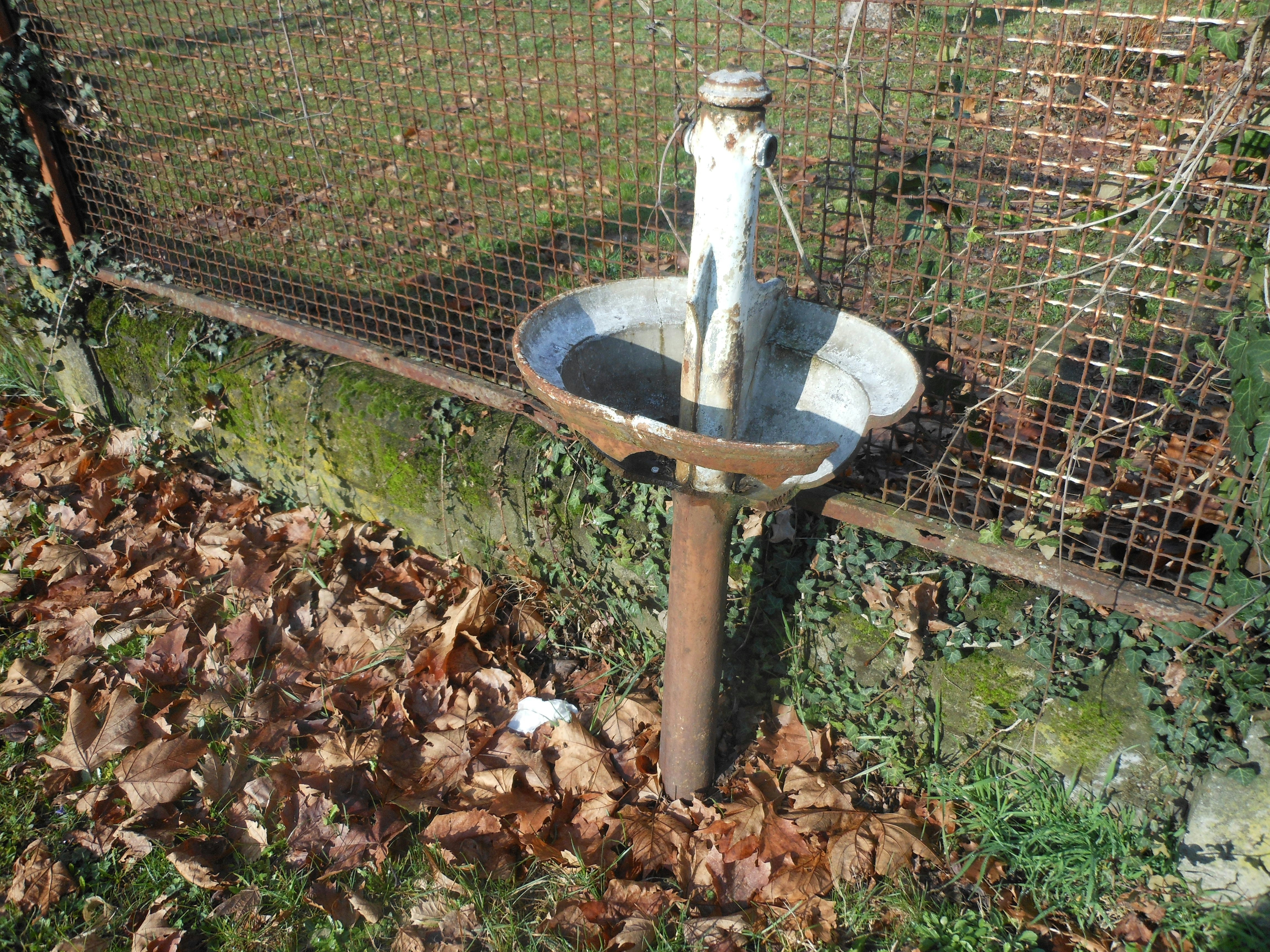 a bird bath in a fenced in area