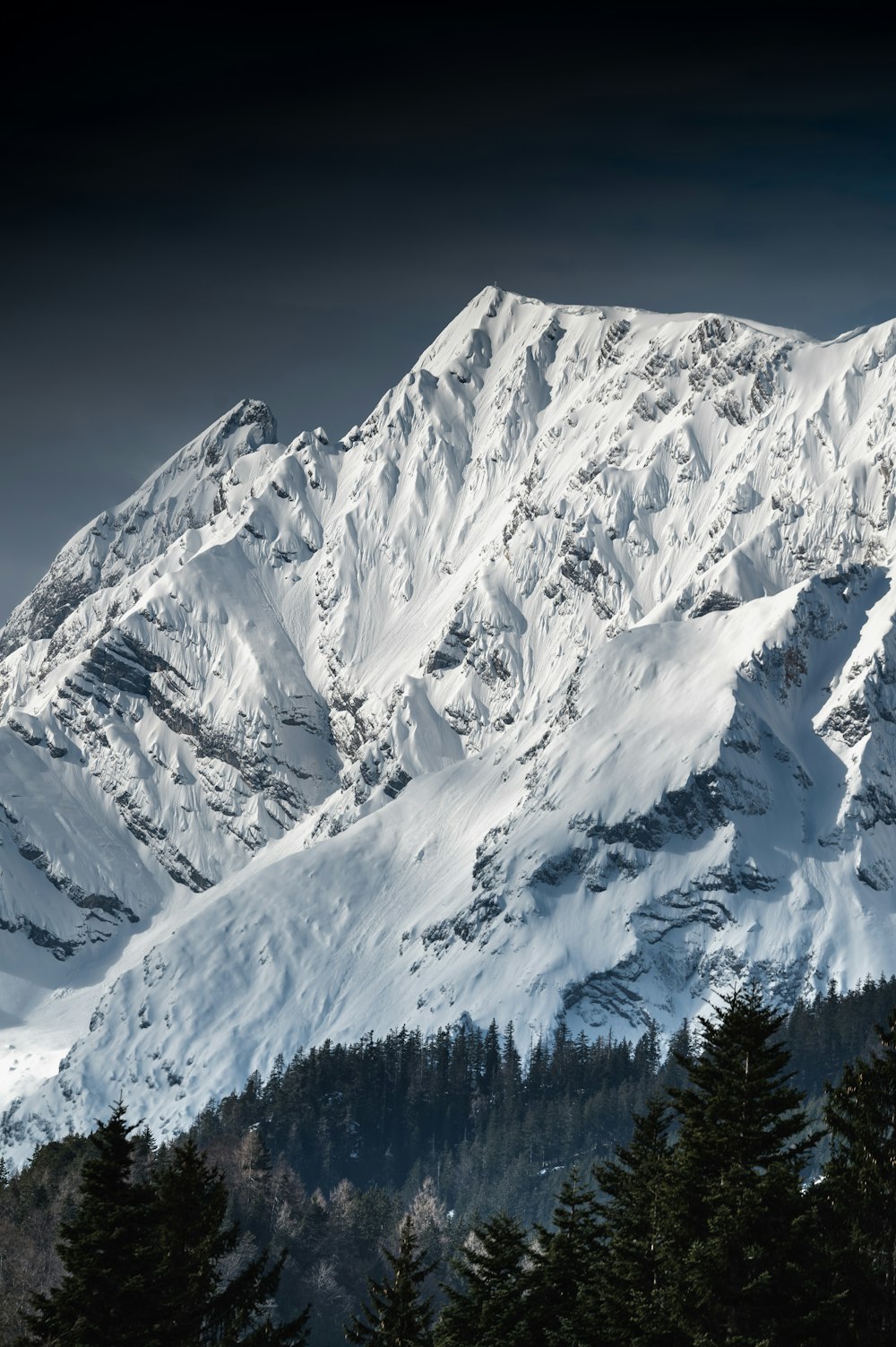 a snow covered mountain with pine trees in the foreground