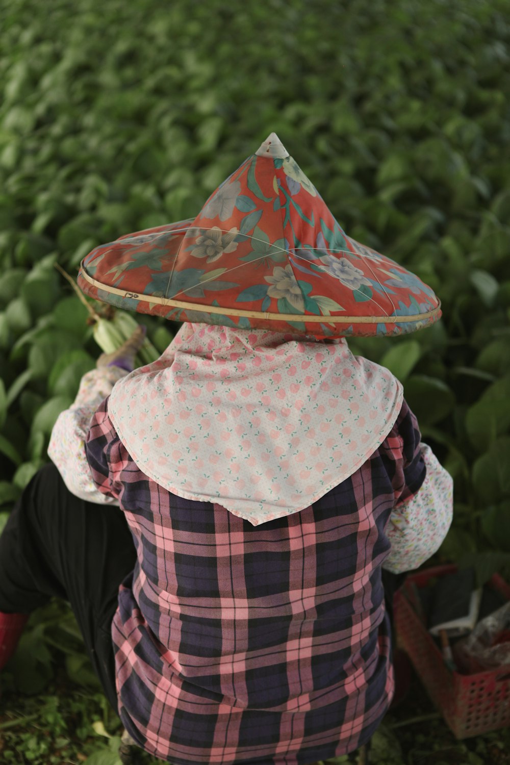 a person with a hat on their head in a field