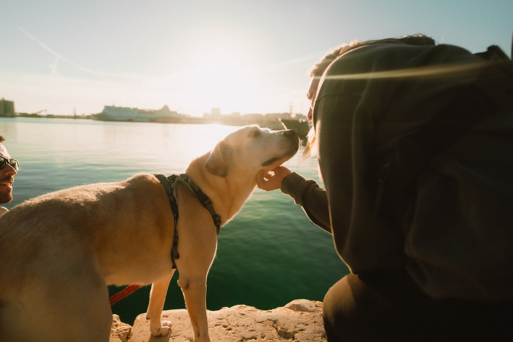 a man and a dog are sitting on a ledge