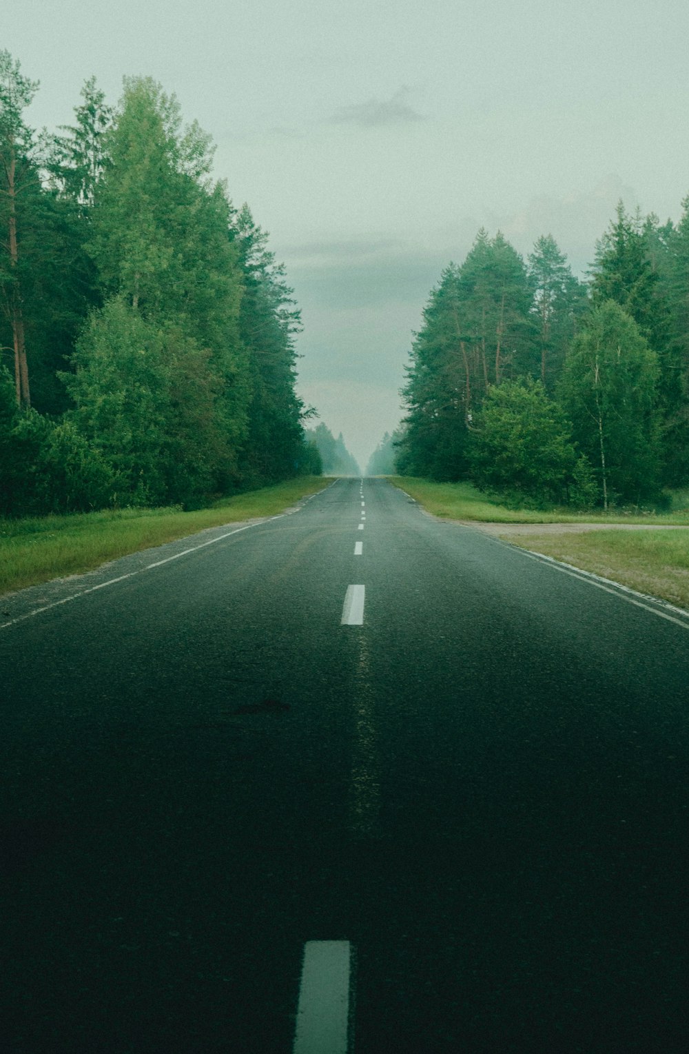 an empty road in the middle of a forest