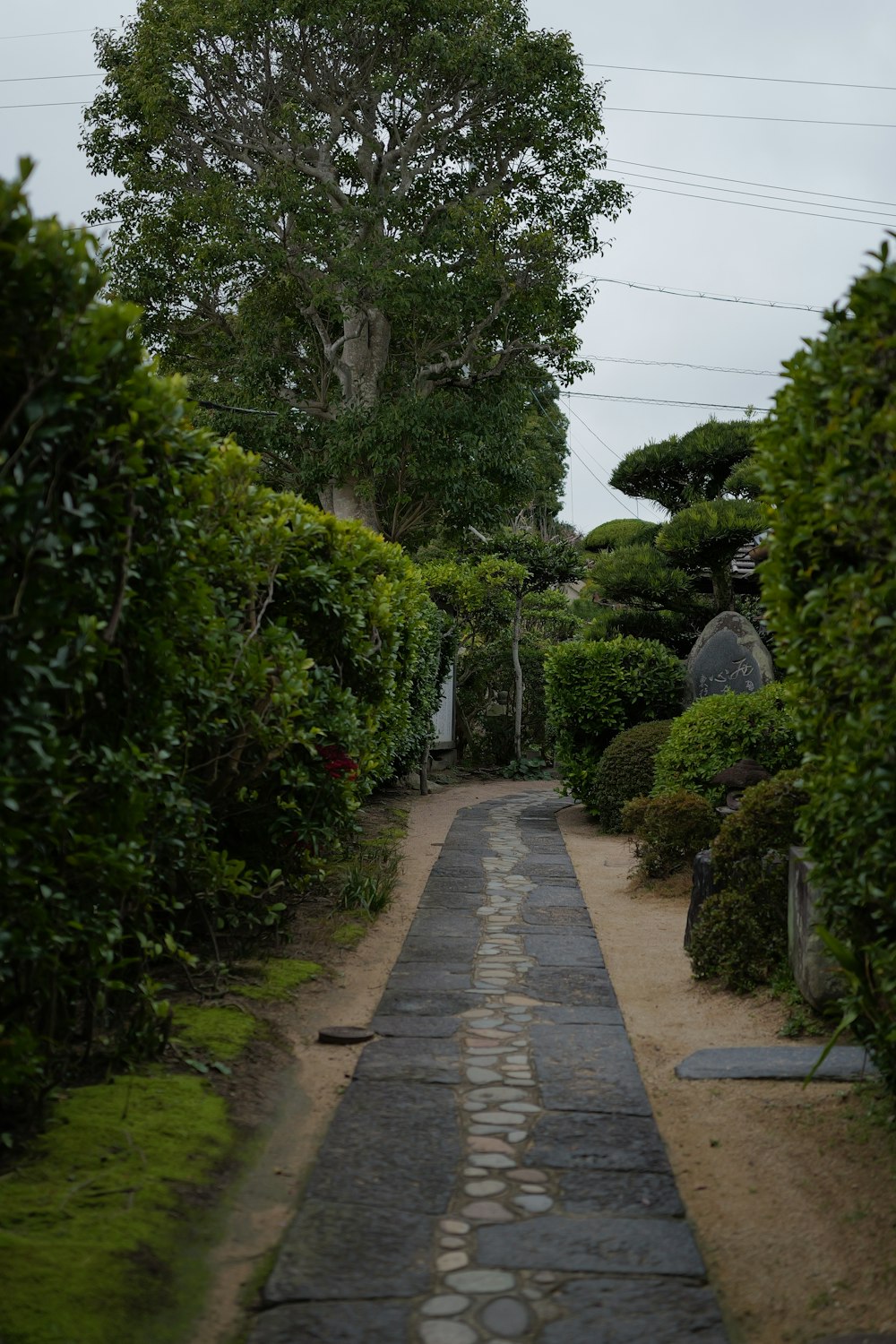 a stone path in a garden with a tree in the background