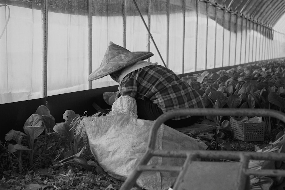 a woman in a hat is working in a greenhouse