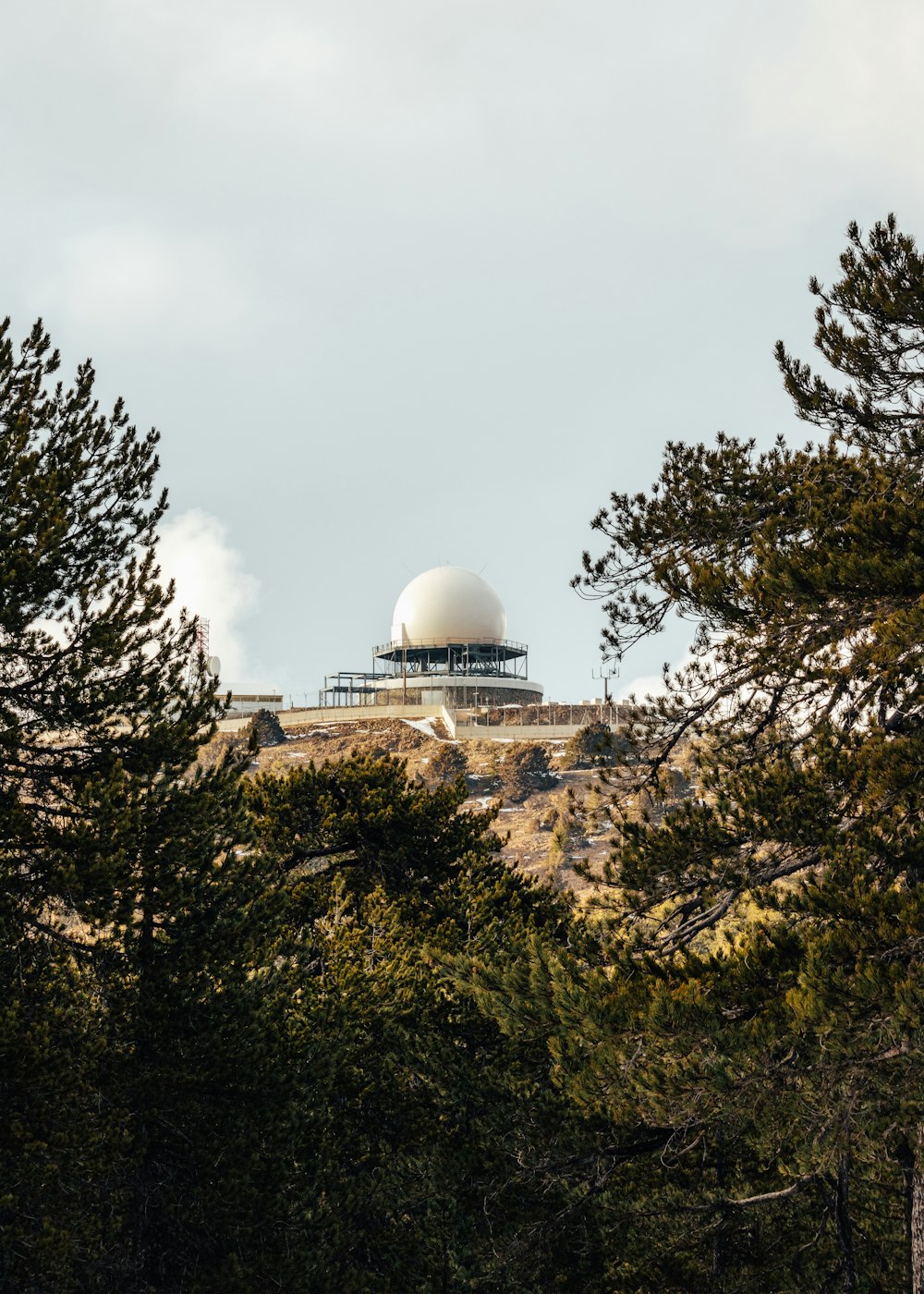 a telescope on top of a hill surrounded by trees