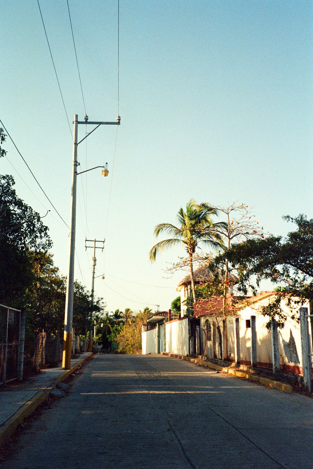 an empty street with a telephone pole and palm trees