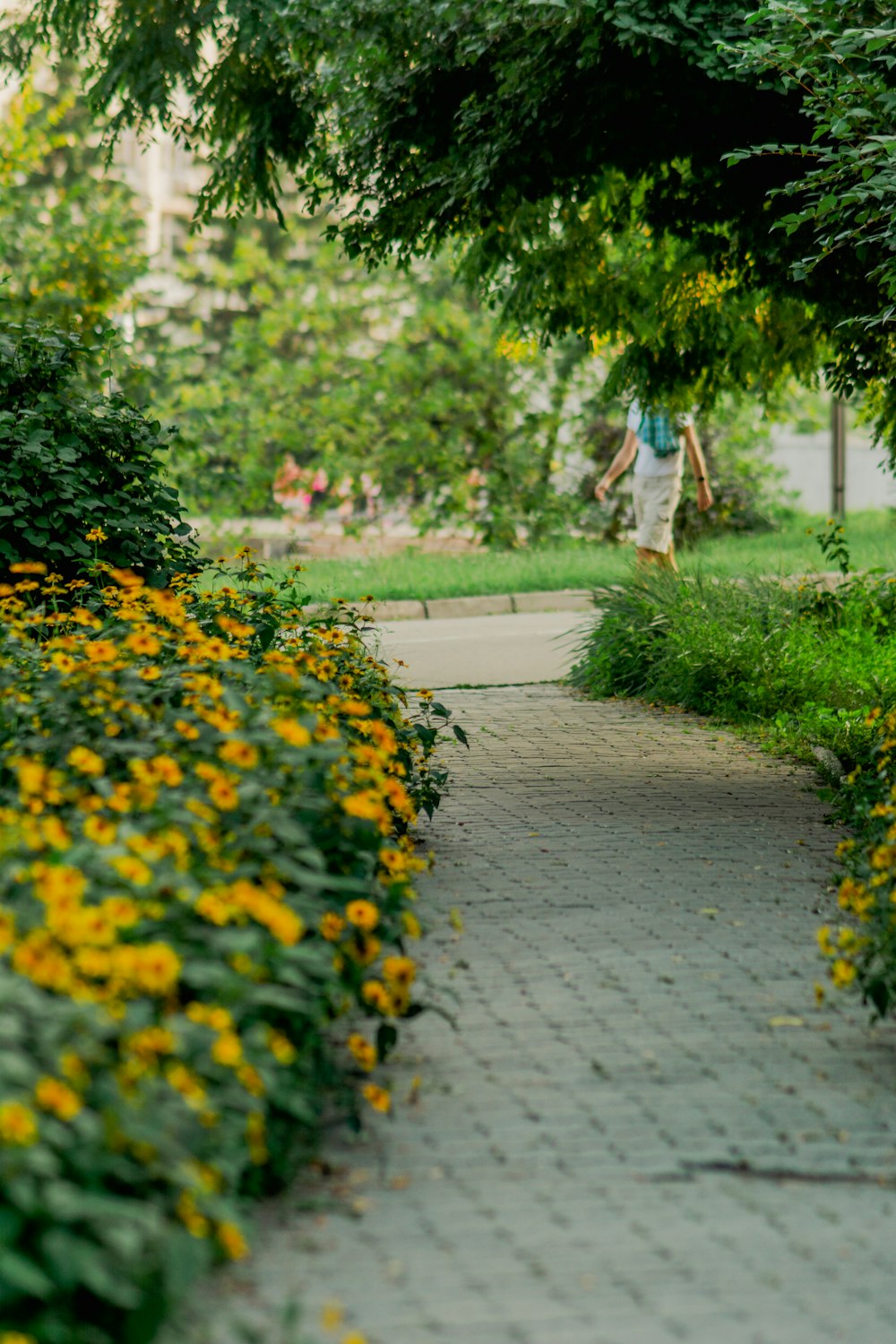 a man walking down a sidewalk next to yellow flowers