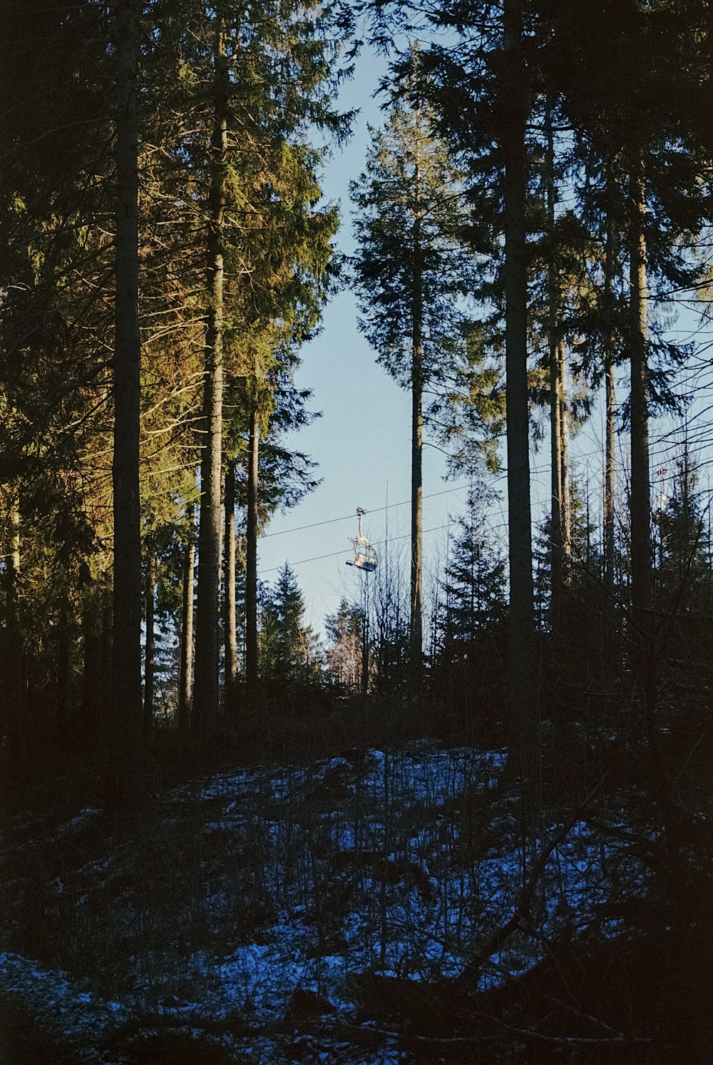 a snow covered field with trees and a tower in the background