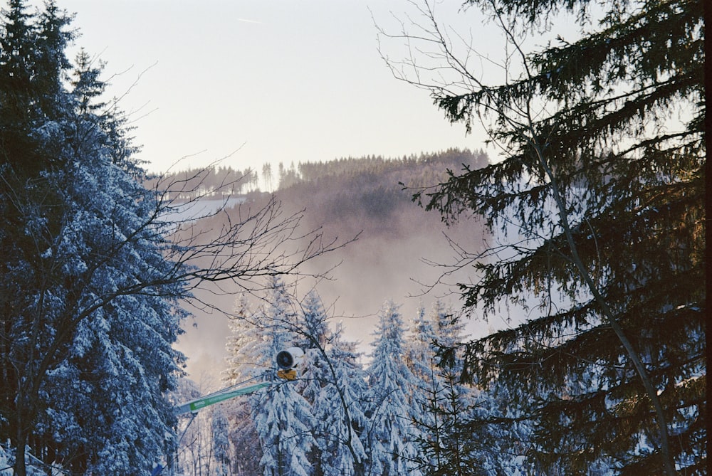 a person jumping a pair of skis in the air