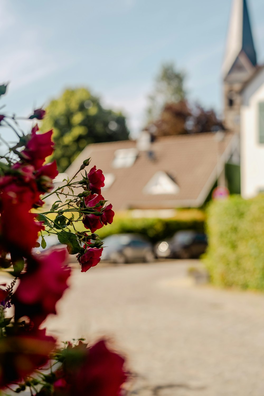 a house with a steeple in the background and flowers in the foreground