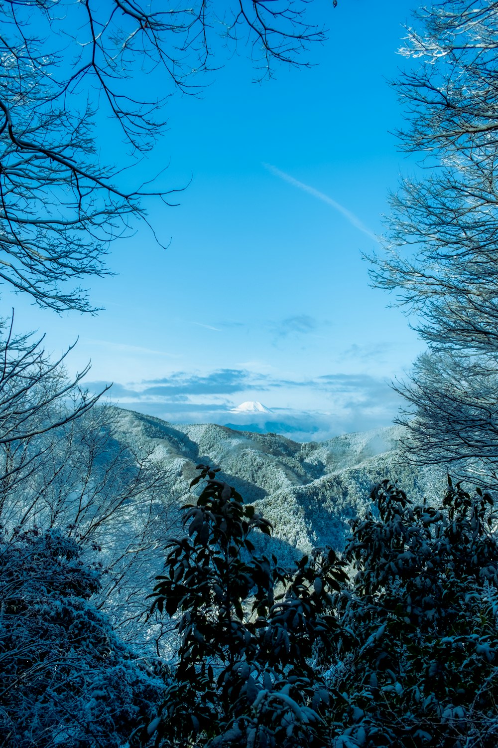 a view of a snowy mountain range from the top of a hill