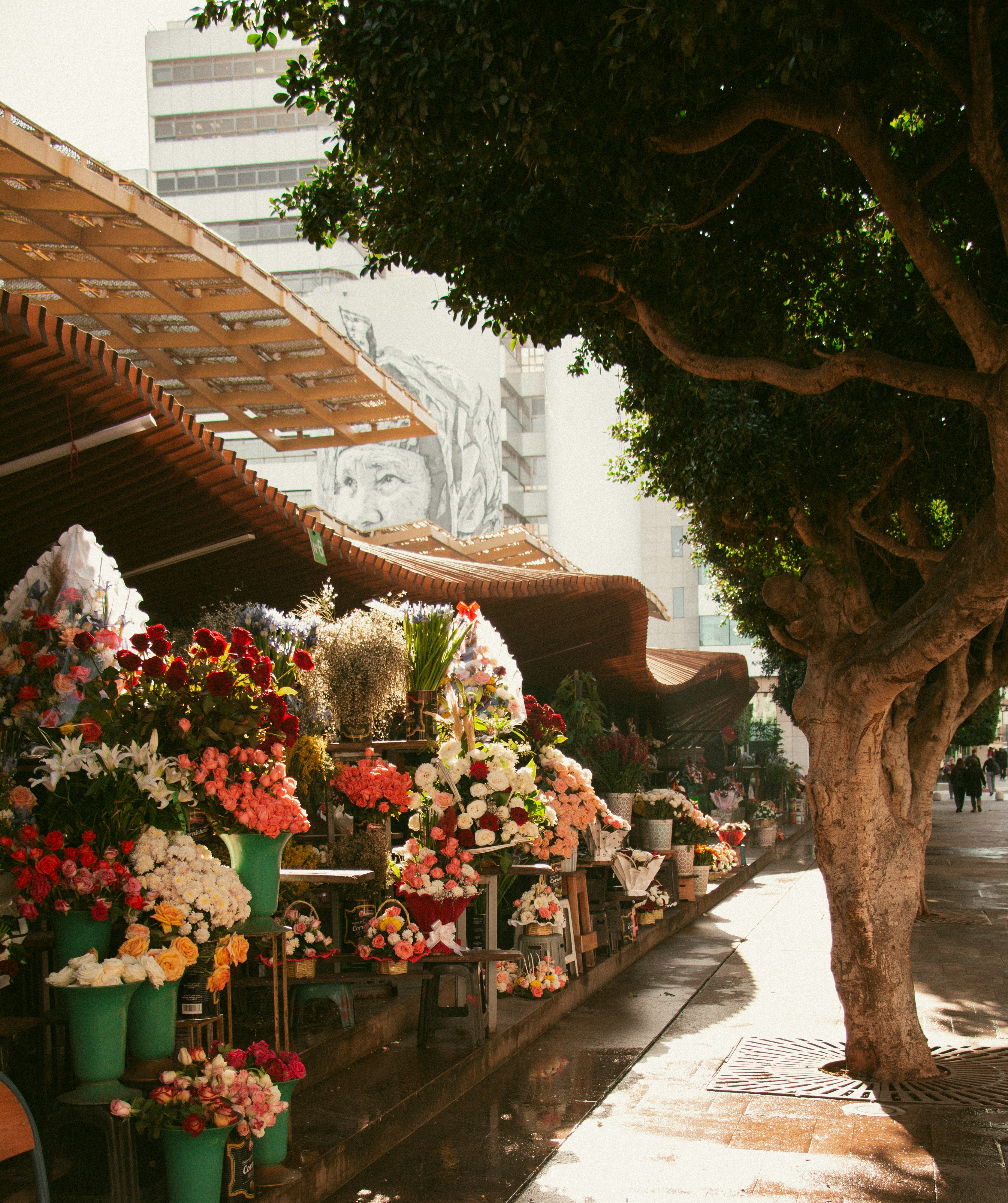 St. Nicholas Market photo 2