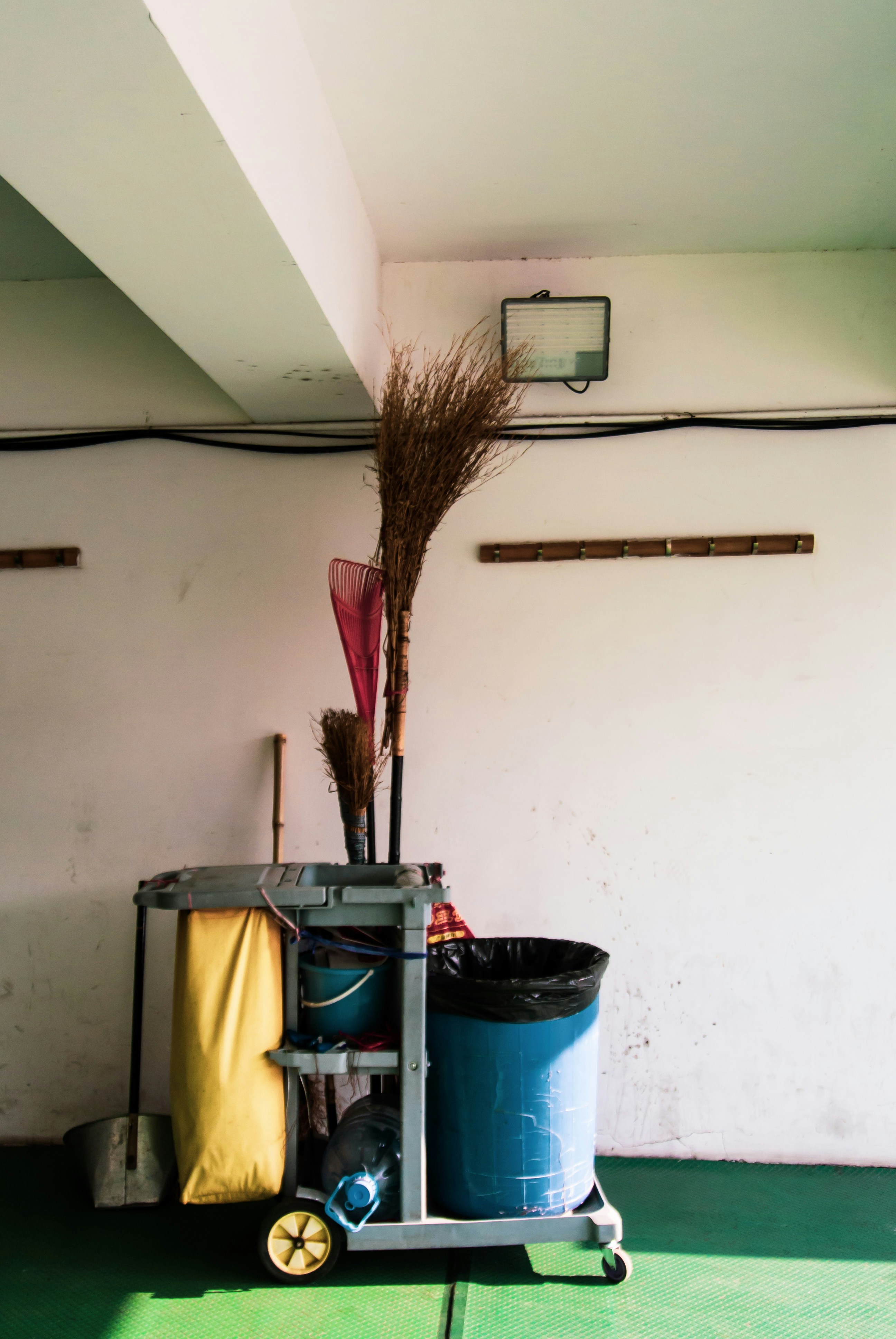 Mops brooms and cleaning carts arranged in bright commercial storage closet