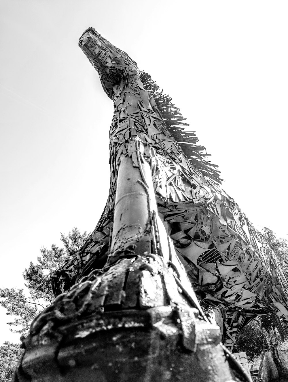 un albero molto alto con molte foglie su di esso