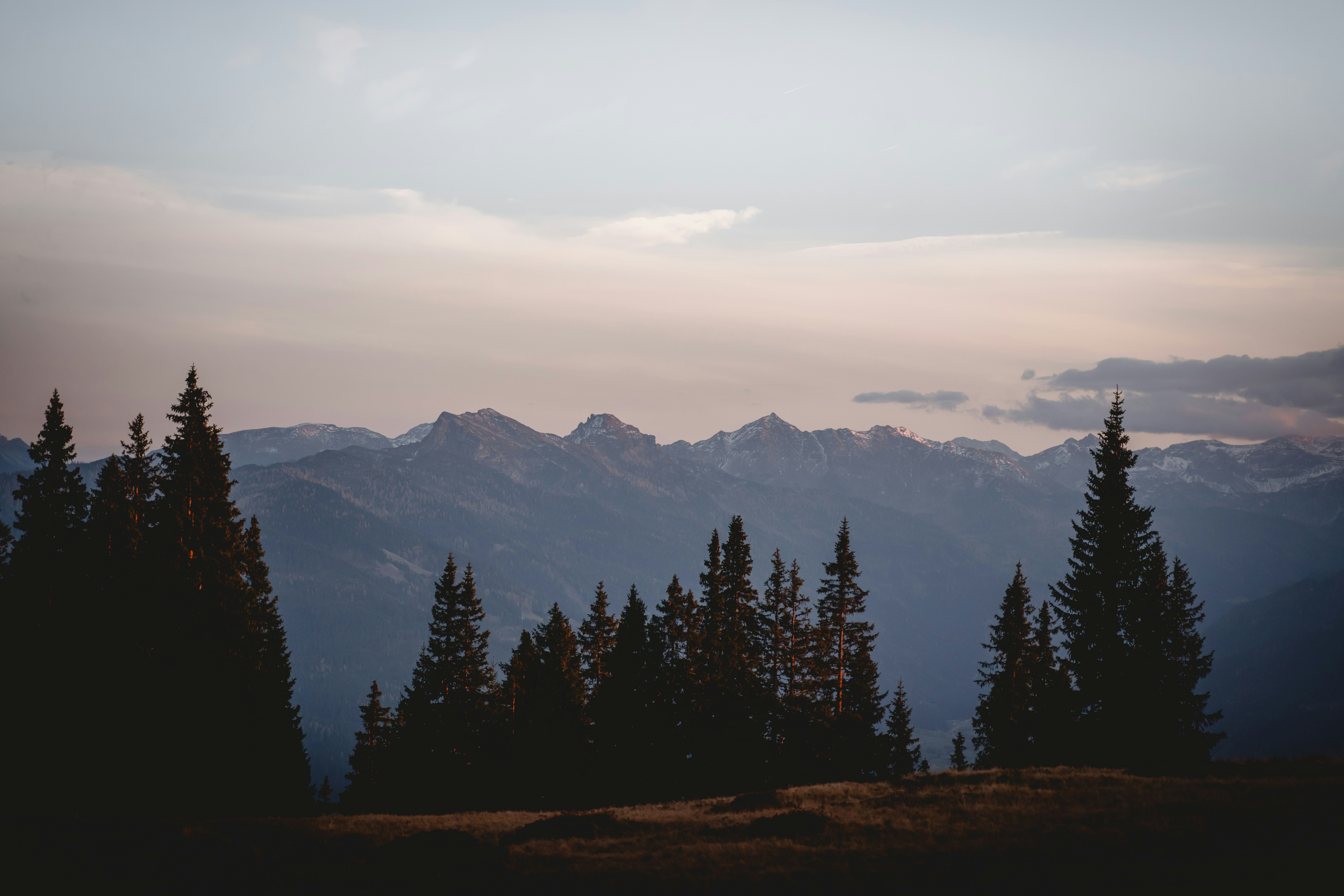 Photo by kirsten_frank