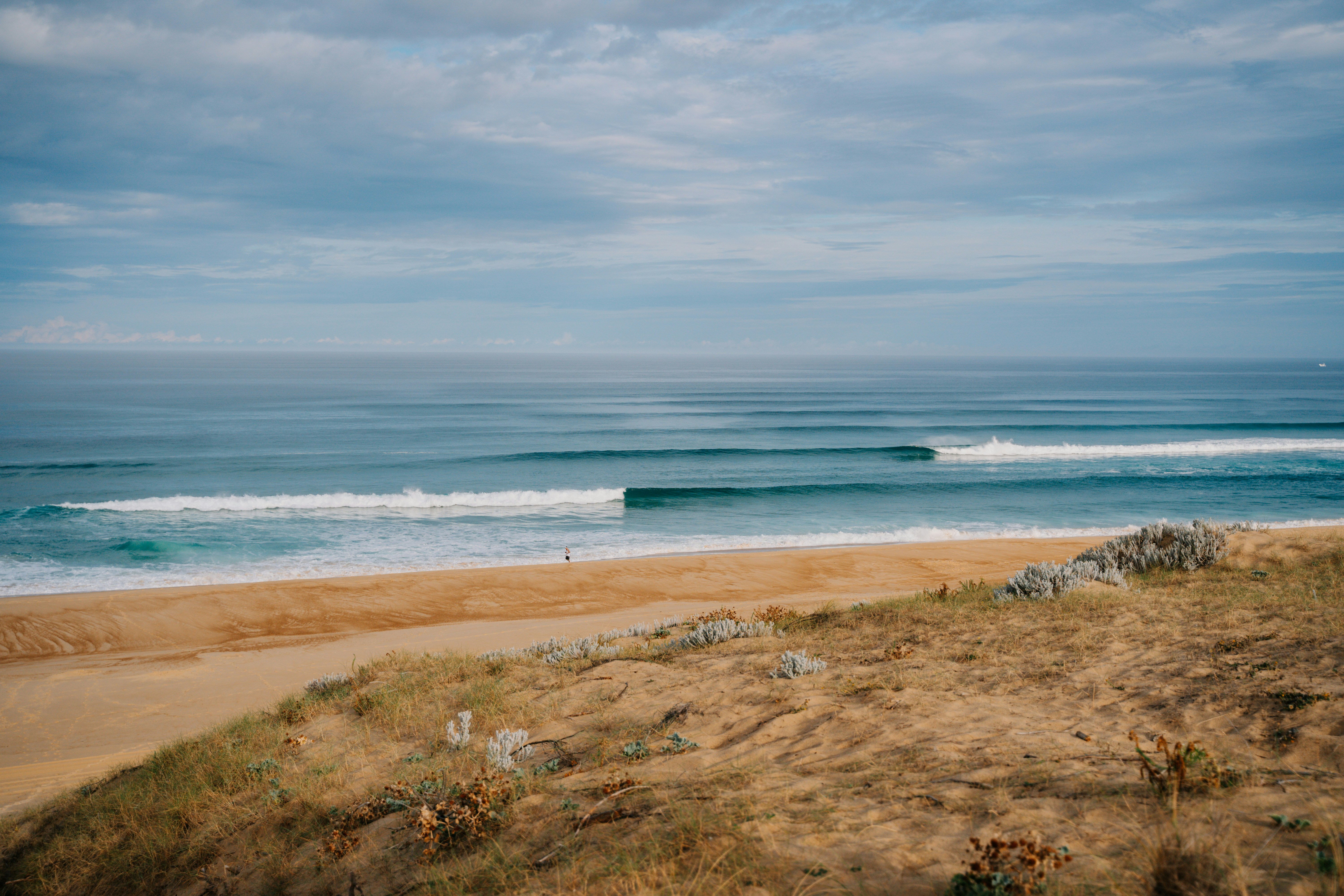 Photo by kirsten_frank