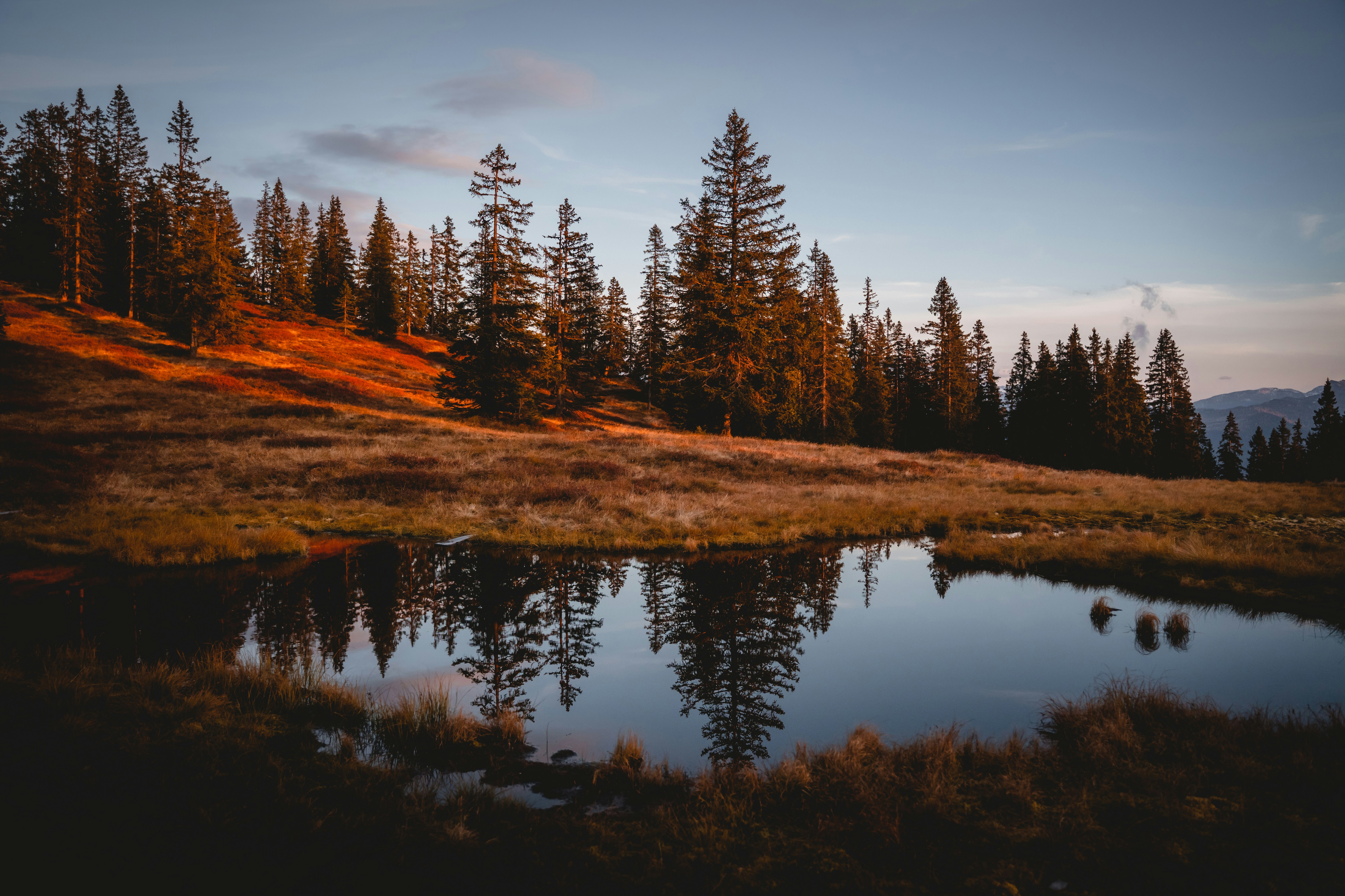 Photo by kirsten_frank