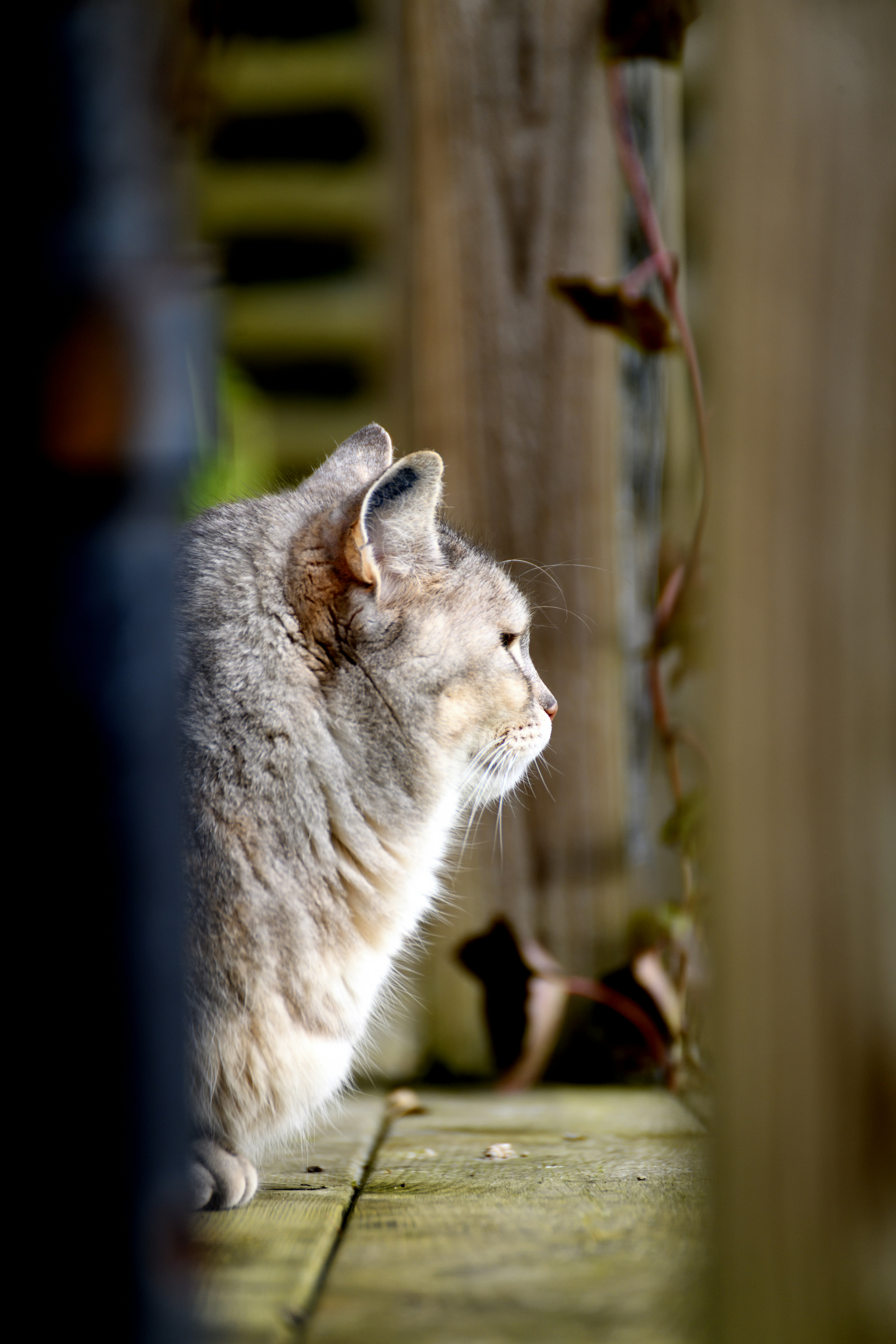 Photo by napbaer_photo