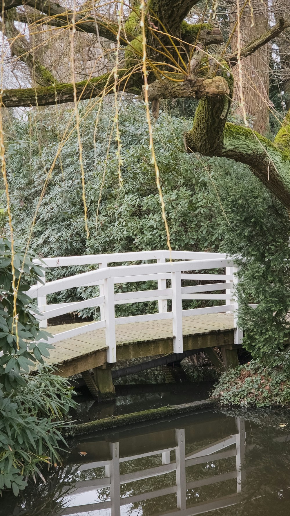 a white bridge over a body of water
