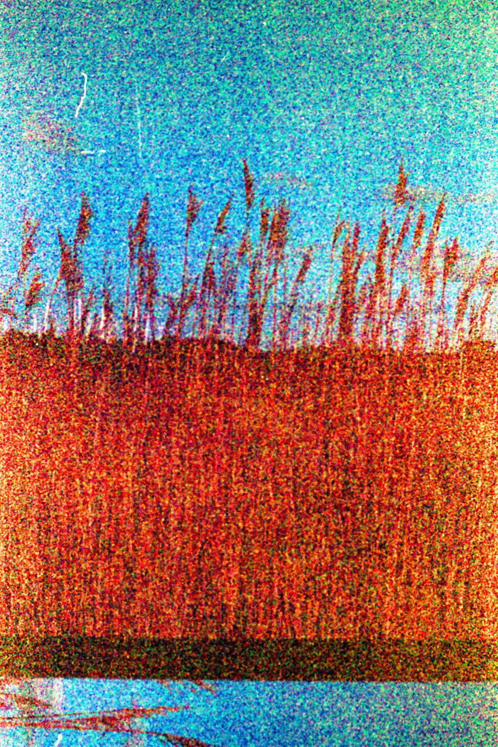 a painting of grass and water with a blue sky in the background