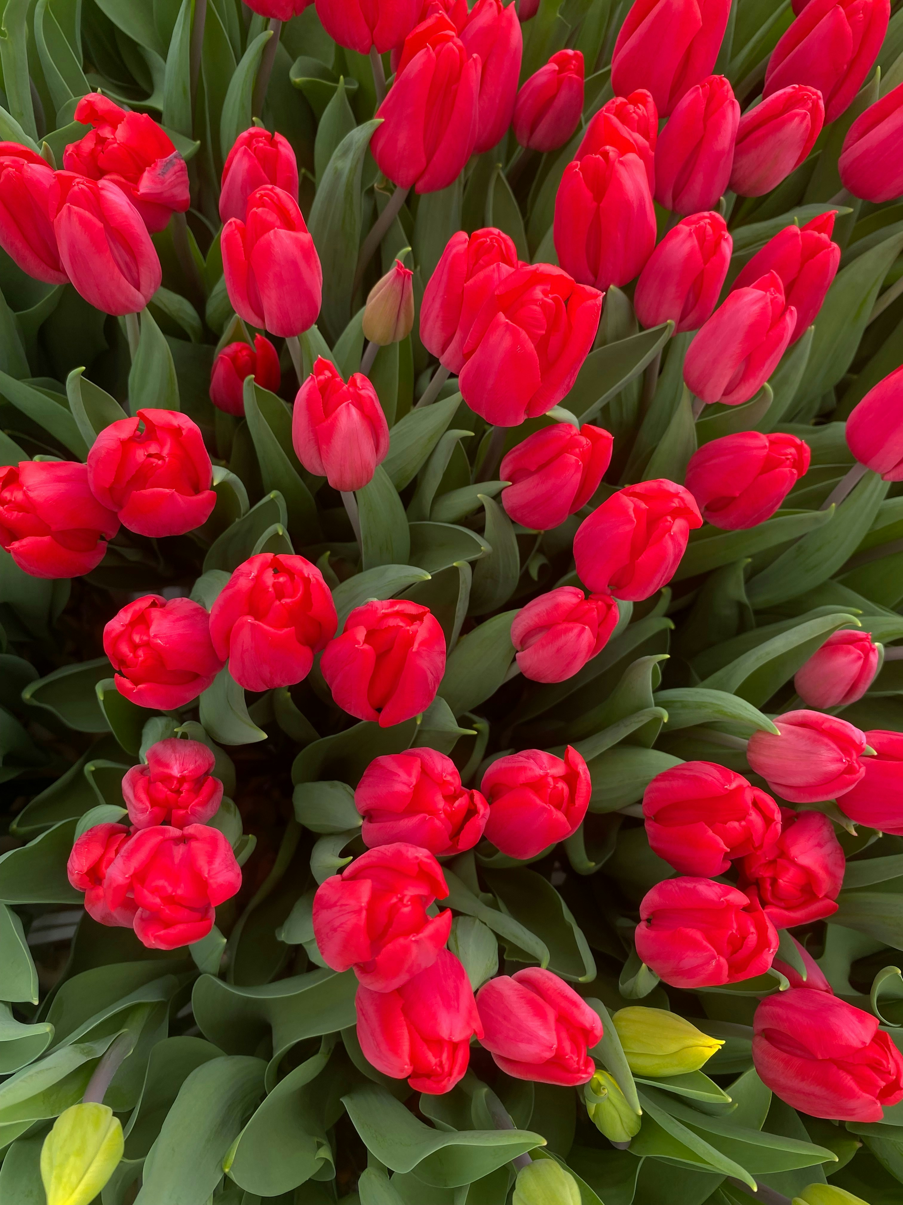 Photo by victoriab13