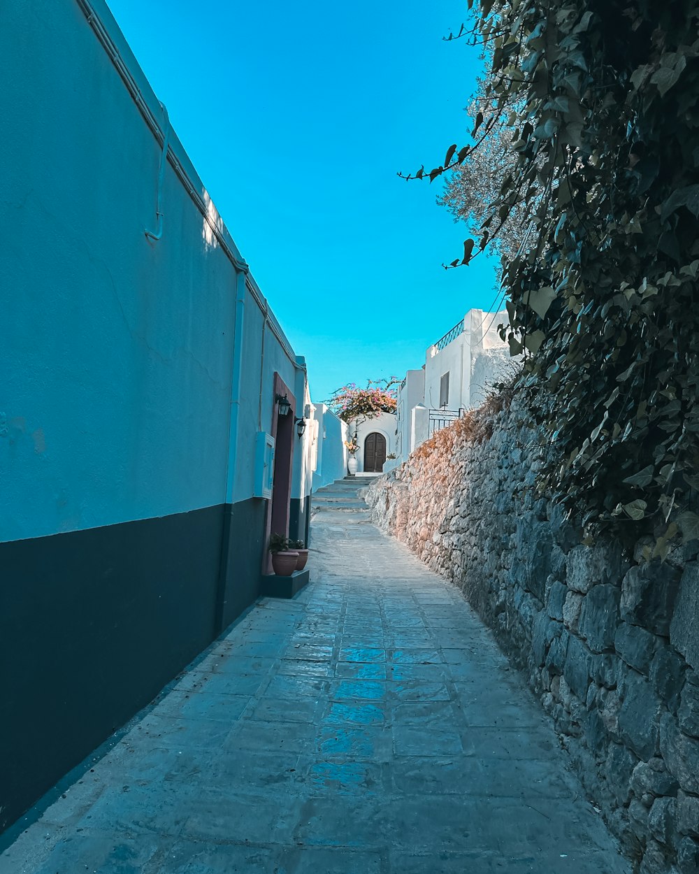 a narrow street with a stone wall and trees