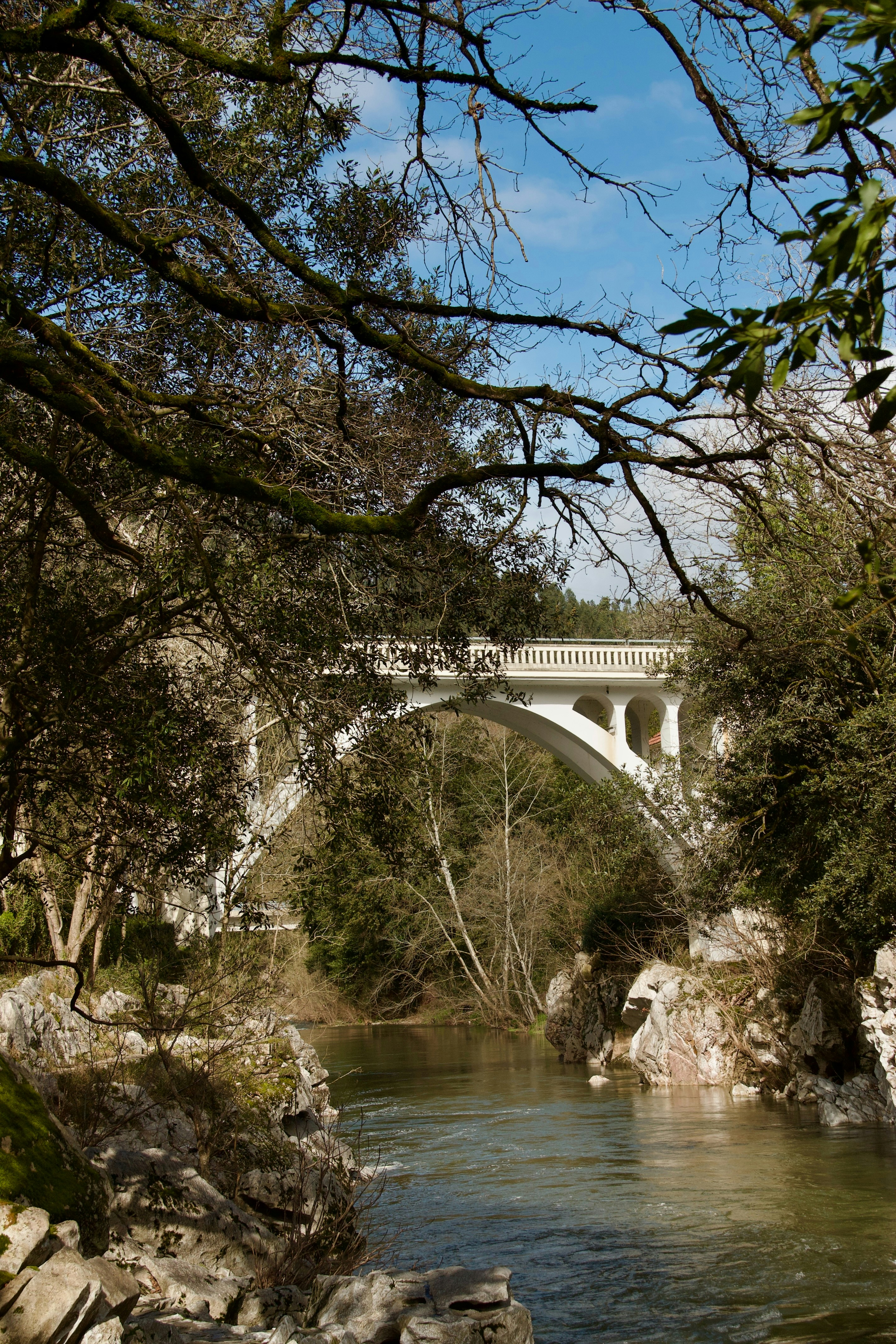 Photo by pablo_saancheezz