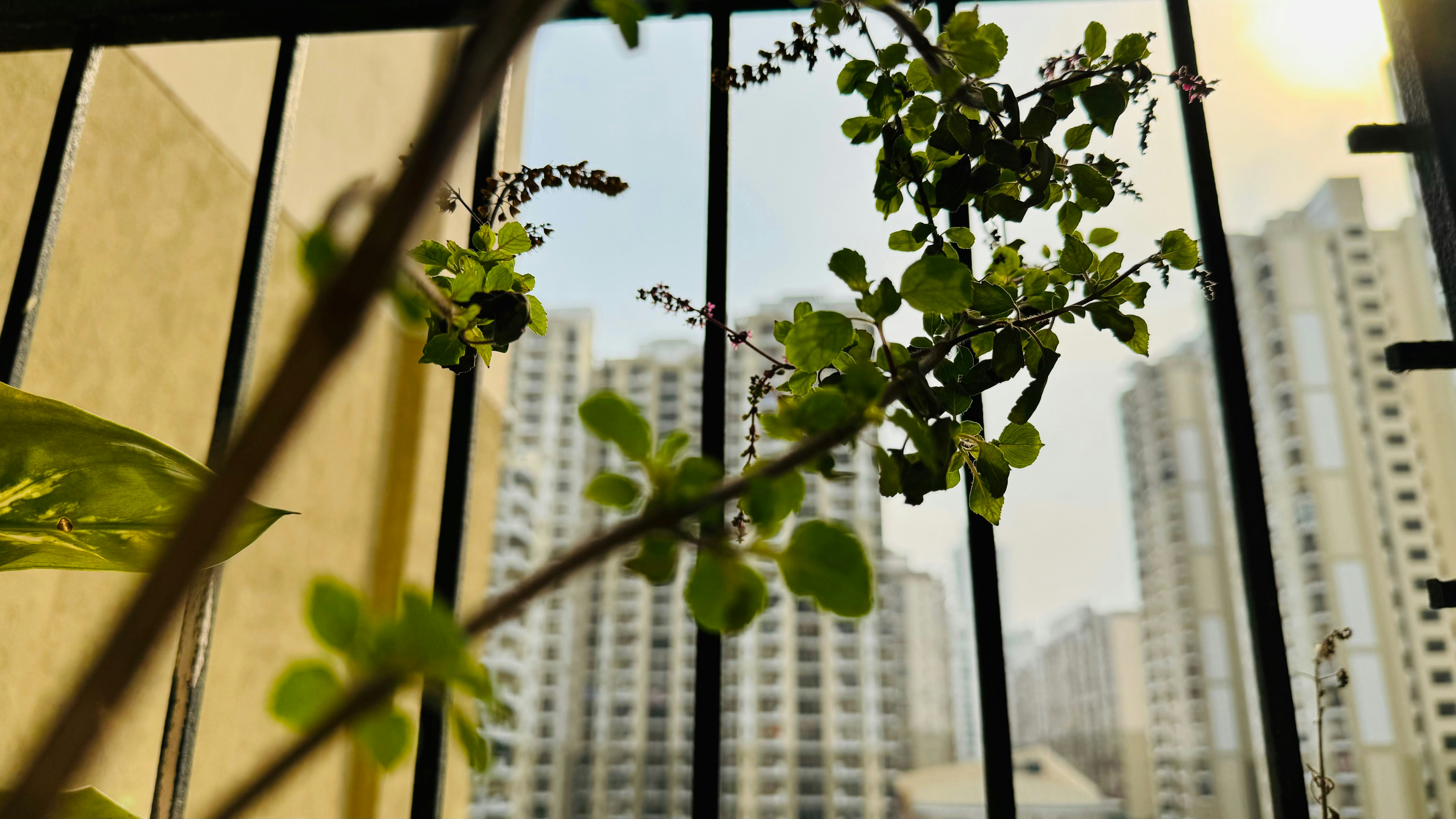 Photo by vikashsparxit