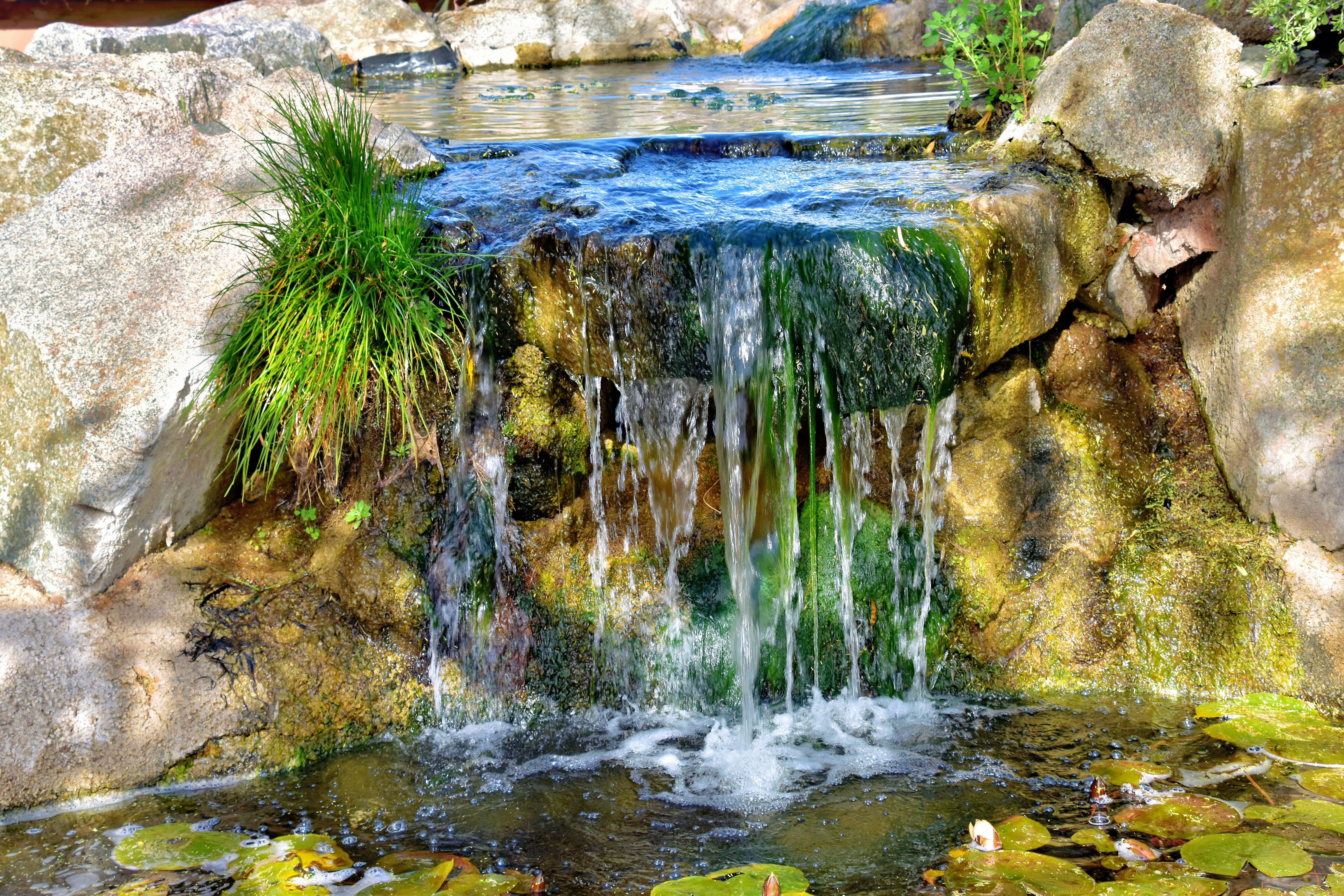 Visiter la Basse-Terre en Guadeloupe : Que voir ? Que faire ? Les  incontournables, image size:3000x2000