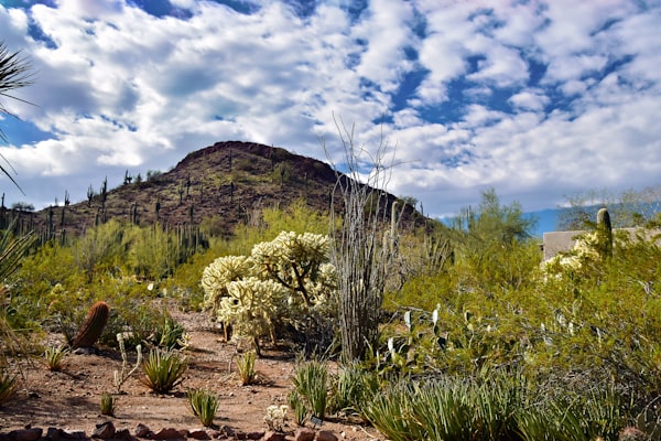 Upscale home San Tan Valley AZ