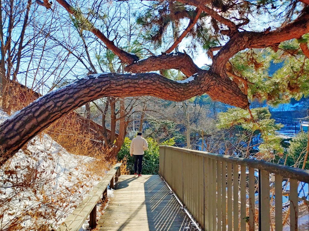 a person standing on a bridge over a body of water