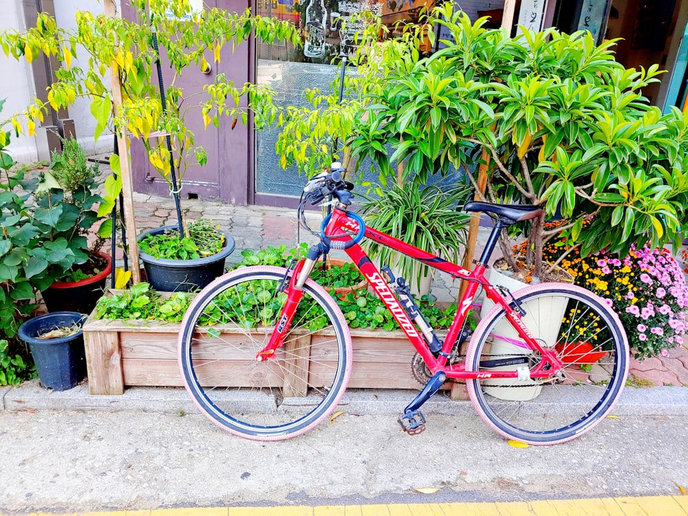 a red bicycle parked next to a flower box