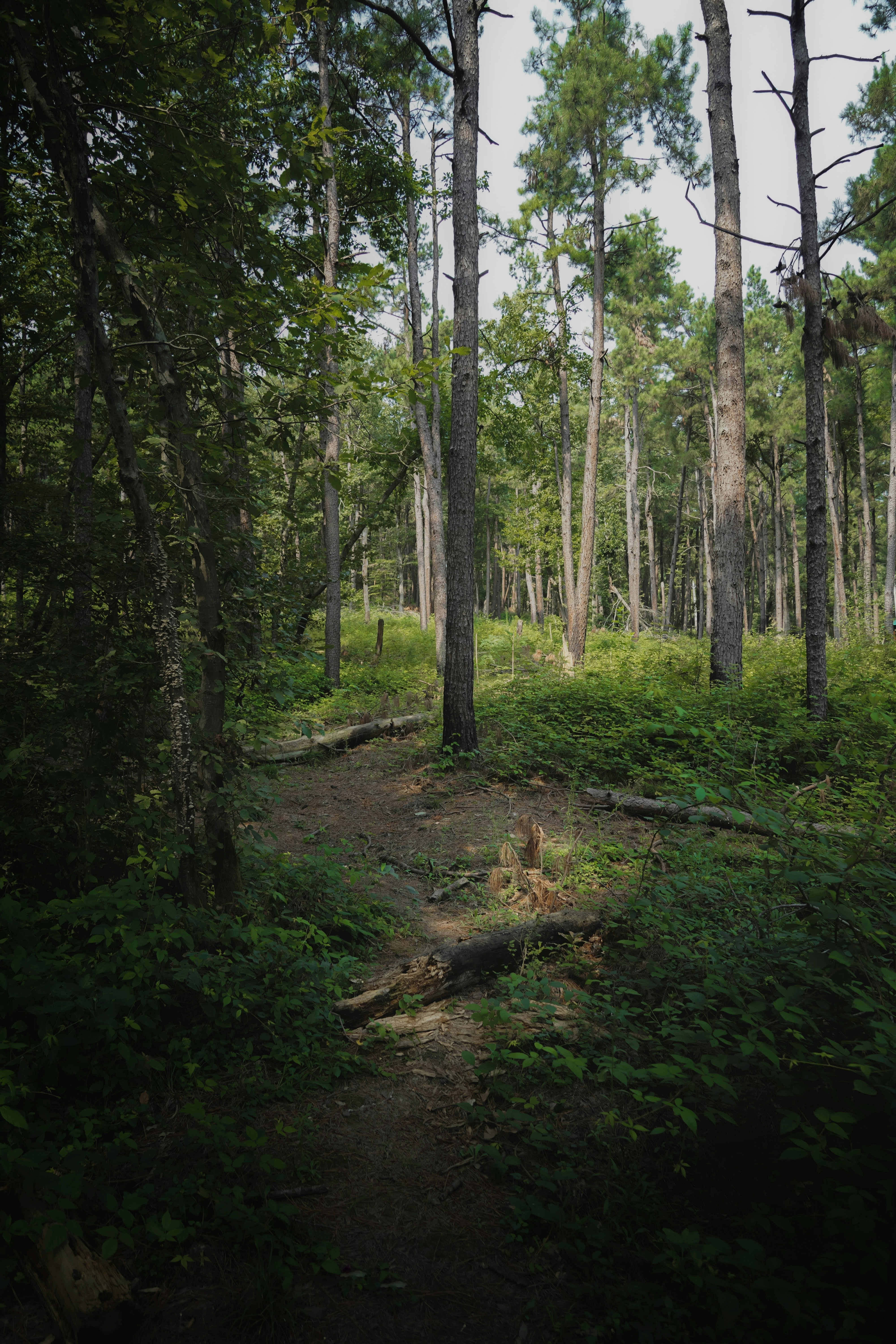 Photo by kiarash_mansouri