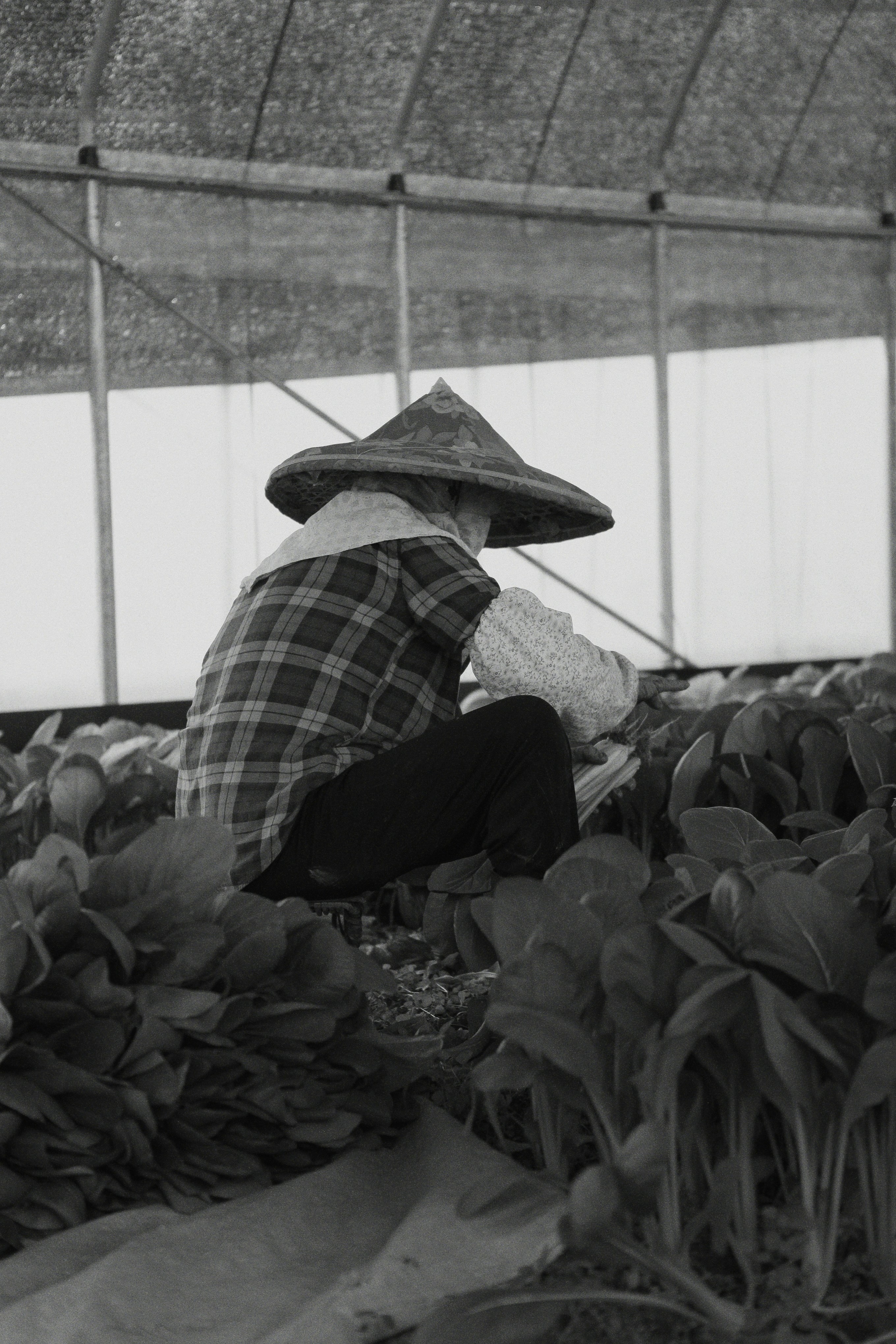Agricultural Workers
