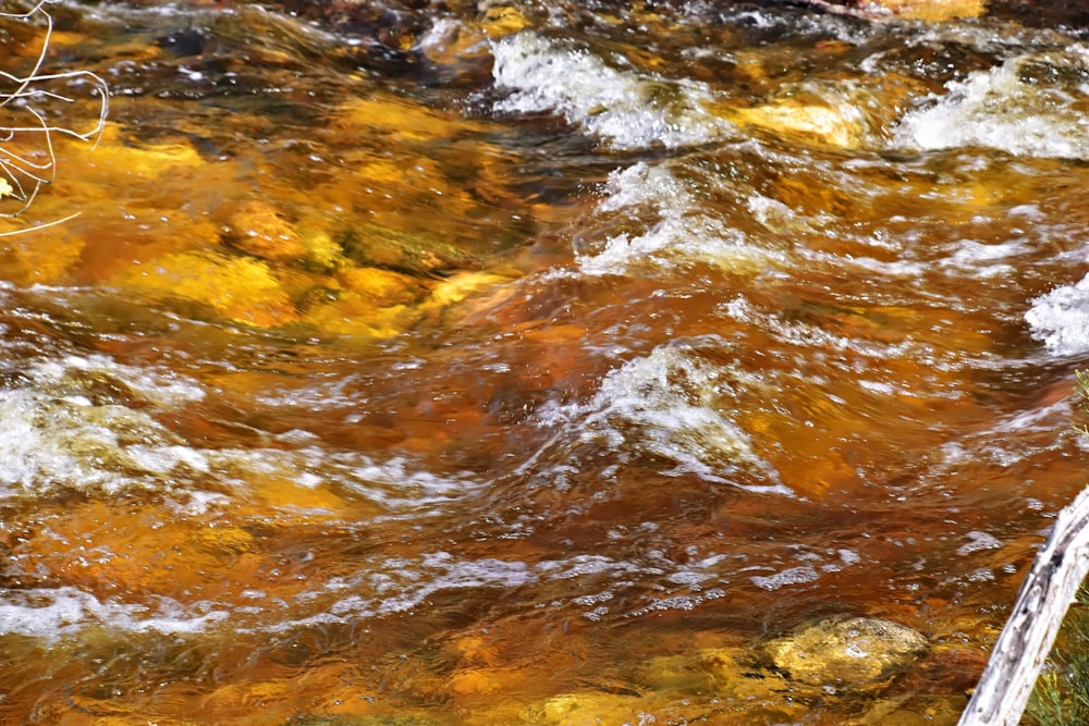 a close up of a stream of water